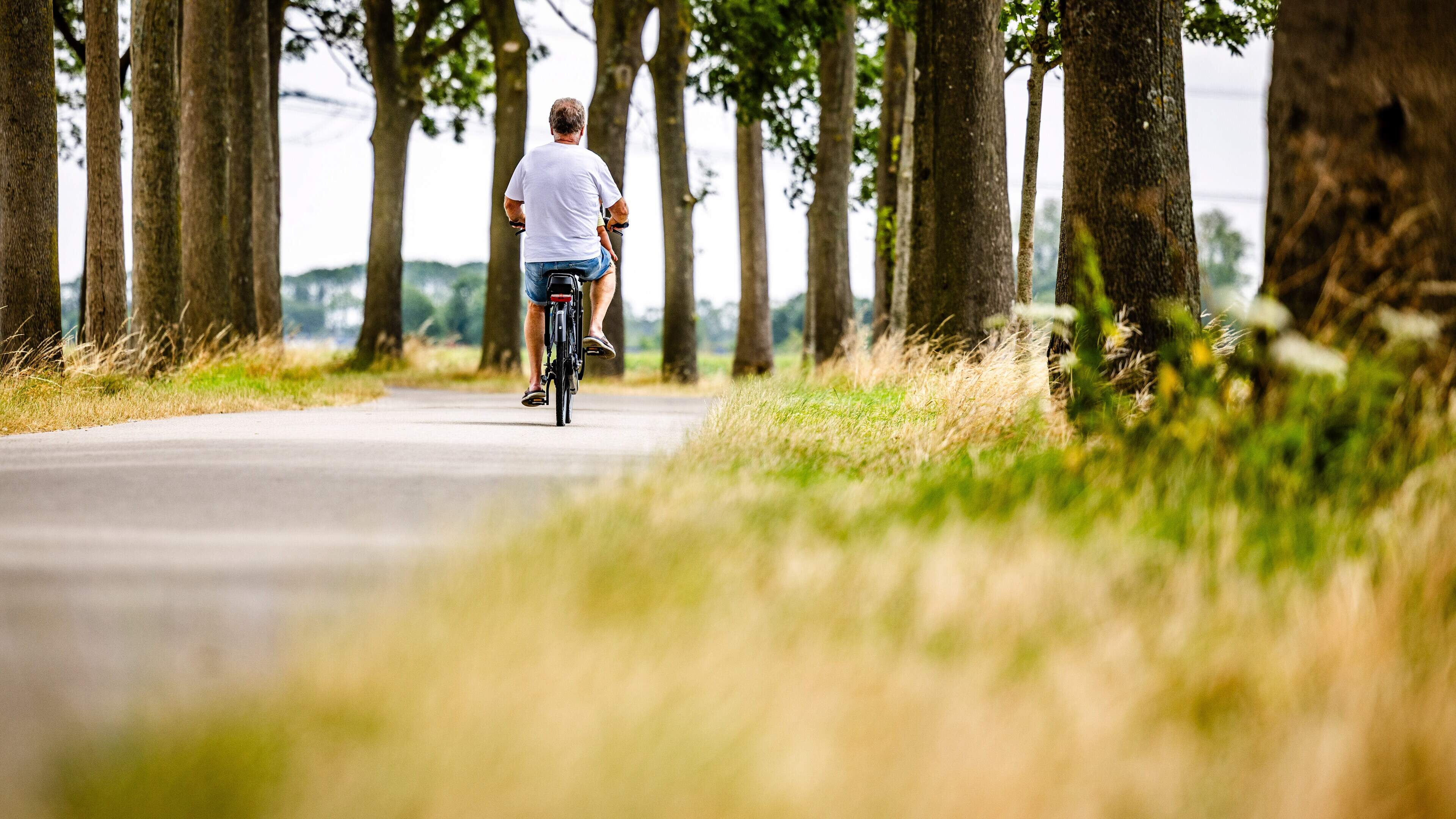Eerst op sommige plekken regen, daarna zelfde temperaturen als de dag ervoor