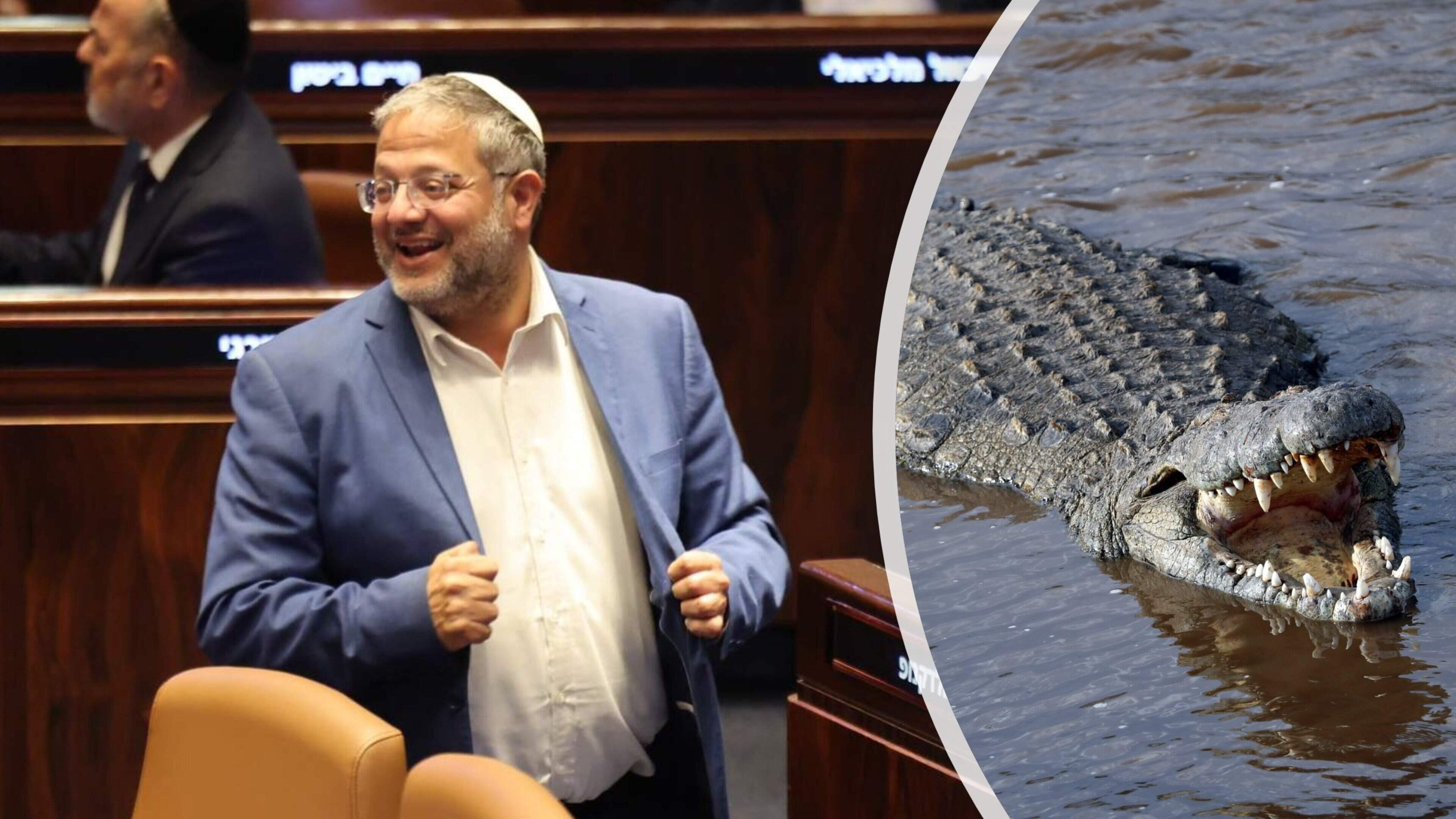 Krokodillen rond Palestijnse cellen: Israël werkt aan ’middeleeuwse’ gevangenisbewaking