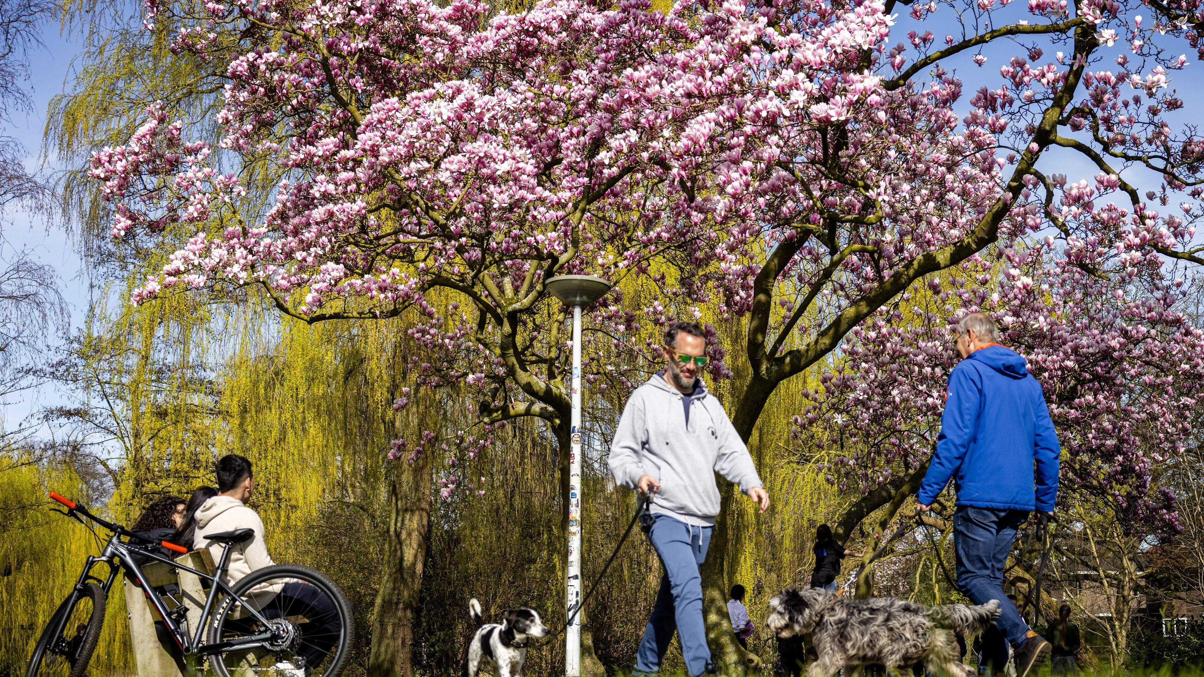 Droge zaterdag verwacht, regen en zon voorspeld voor het paasweekend