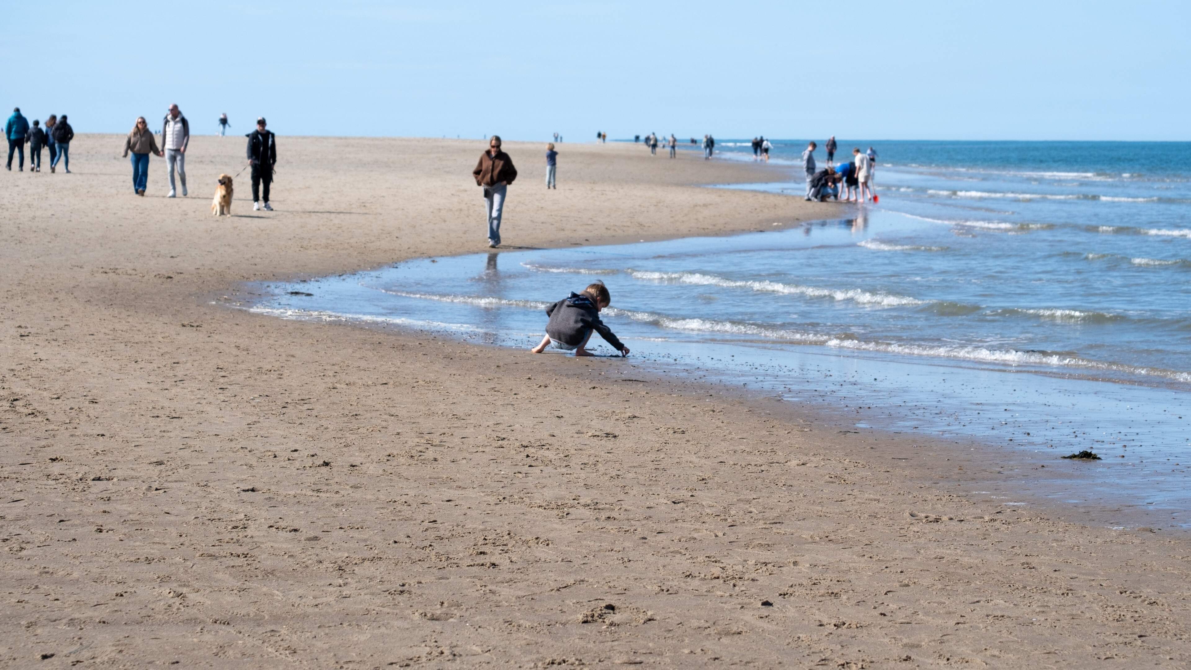 Mistige start van de dag, maar daarna breekt de zon door: kwik stijgt tot 20 graden
