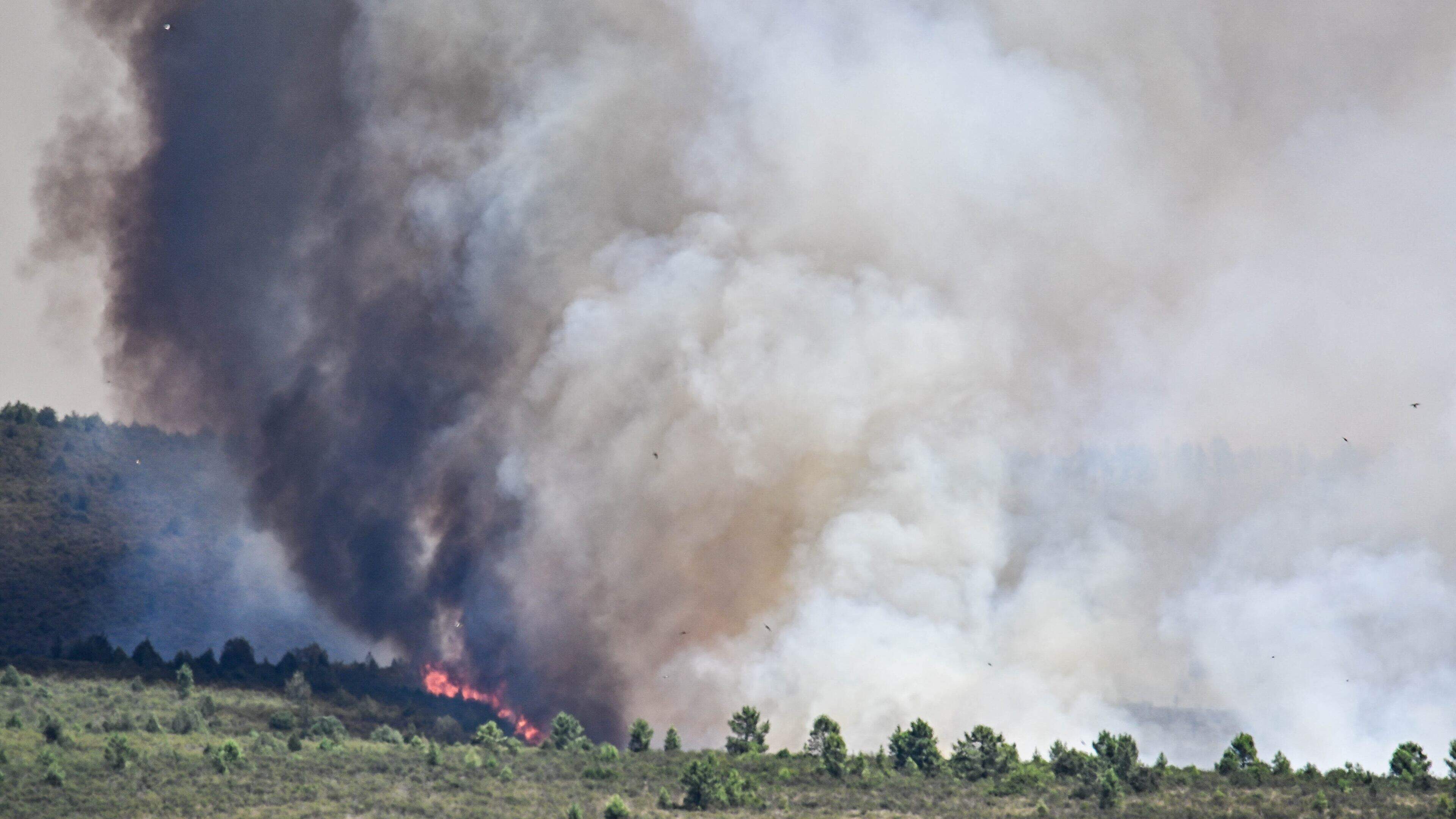 LIVE | Brandweer heeft handen vol aan bosbrand nabij Madrid: al 13.000 hectare in vlammen op