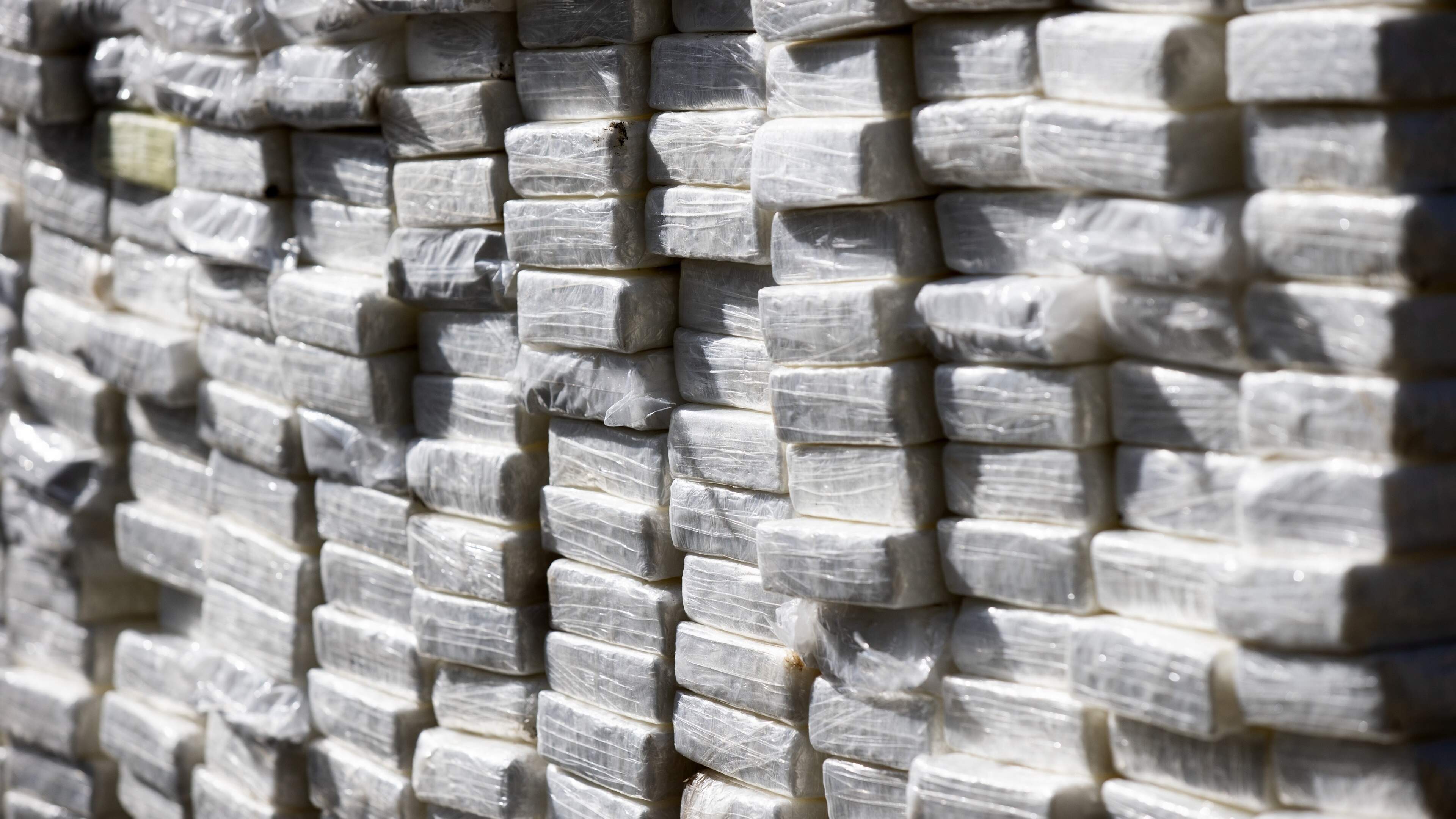 Douane schept met bulldozer duizend pakjes cocaïne uit lading potgrond die op weg was naar Nederland