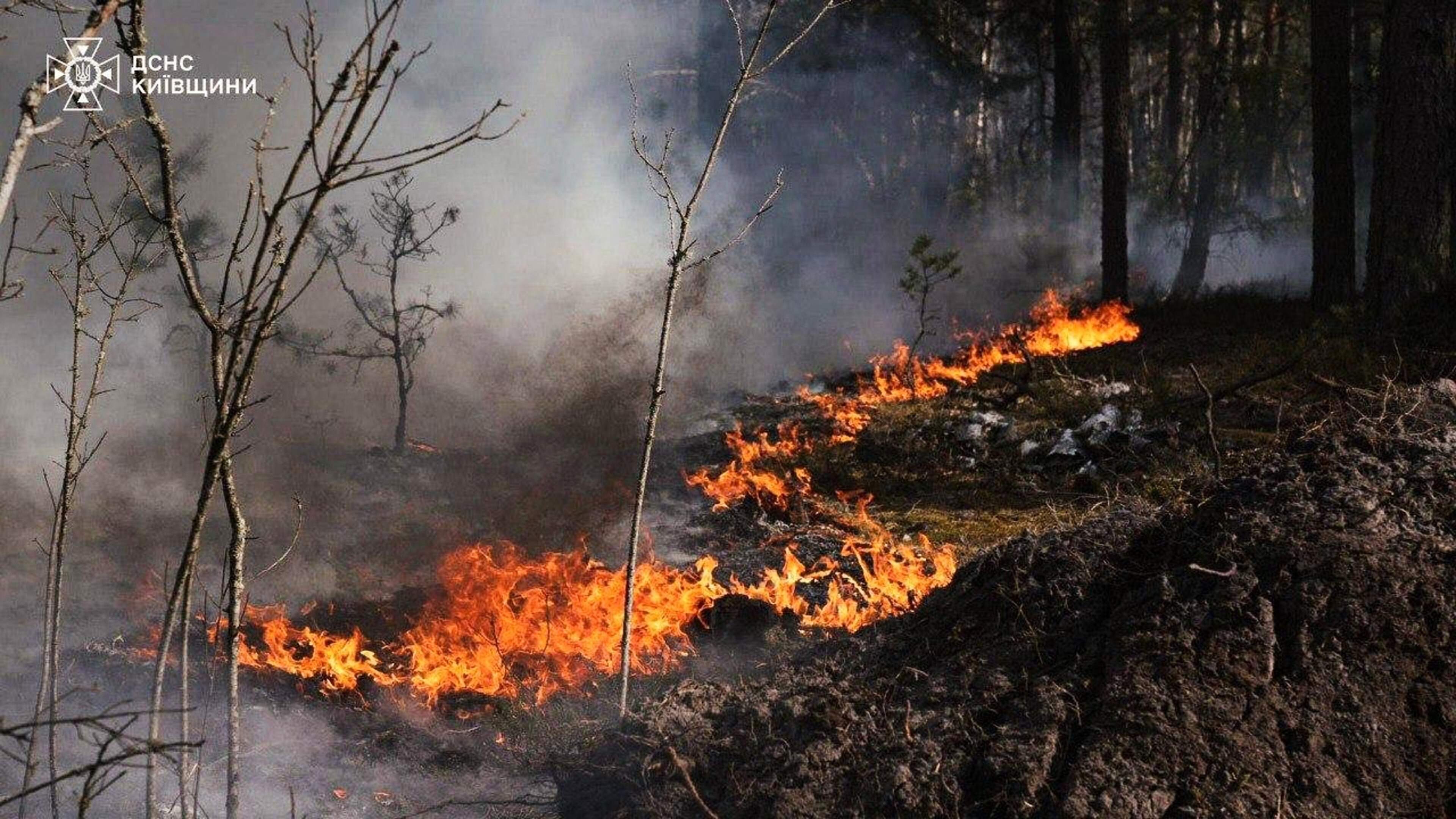 LIVE | Oekraïne meldt grote natuurbrand bij Tsjernobyl na dronecrash