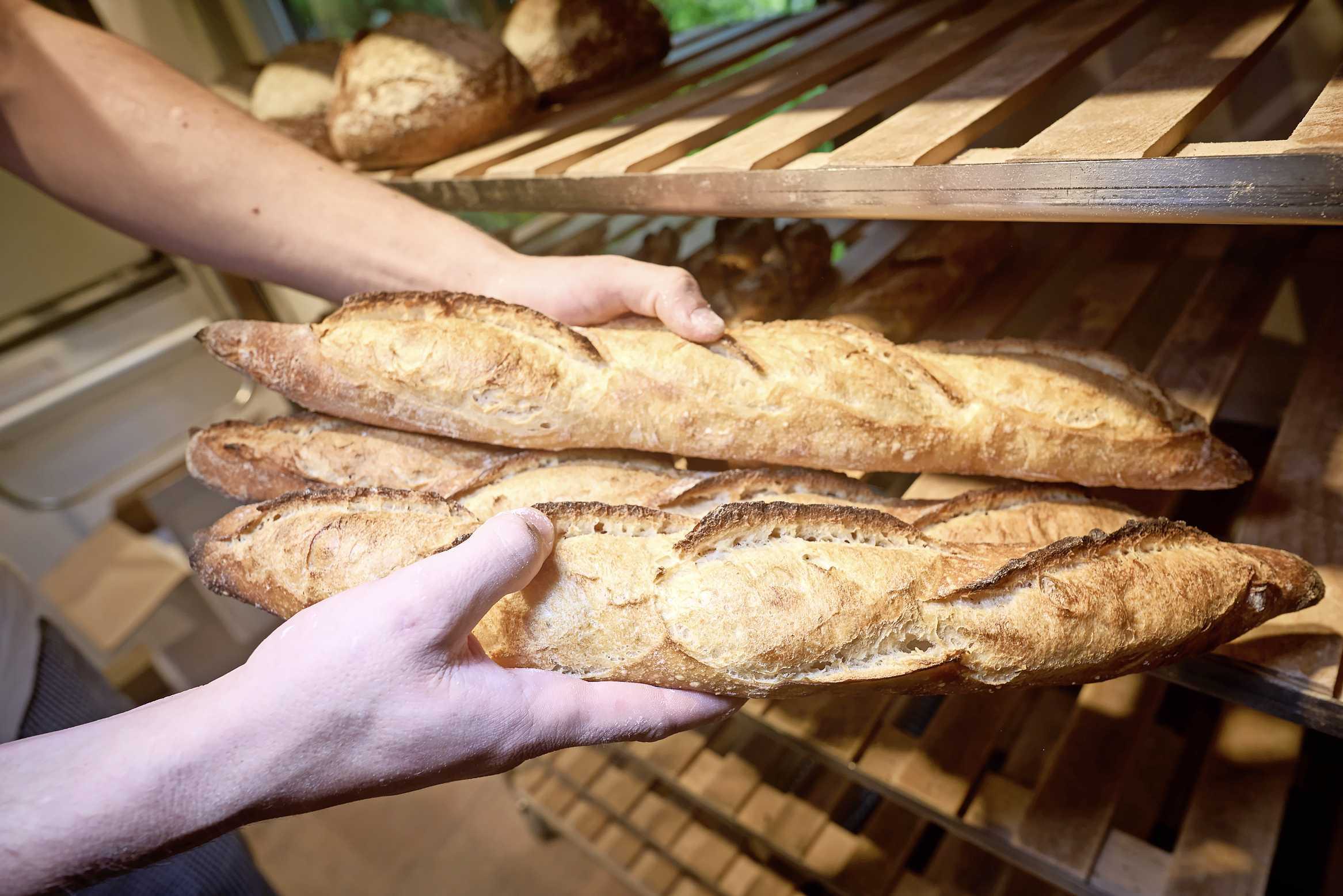 Frans Brood Bakvormen - Siliconen langwerpige vorm Broodvormen Baguette Pan Franse Bakvormen Tray
