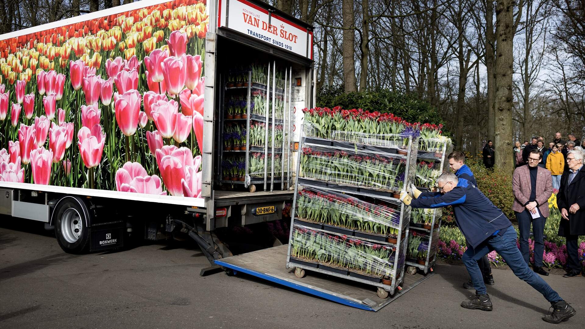 Gezegende bloemen op het Irene-paviljoen op de Keukenhof. De bloemen gaan op transport richting Rome om daar met Pasen het Sint-Pietersplein te versieren. 