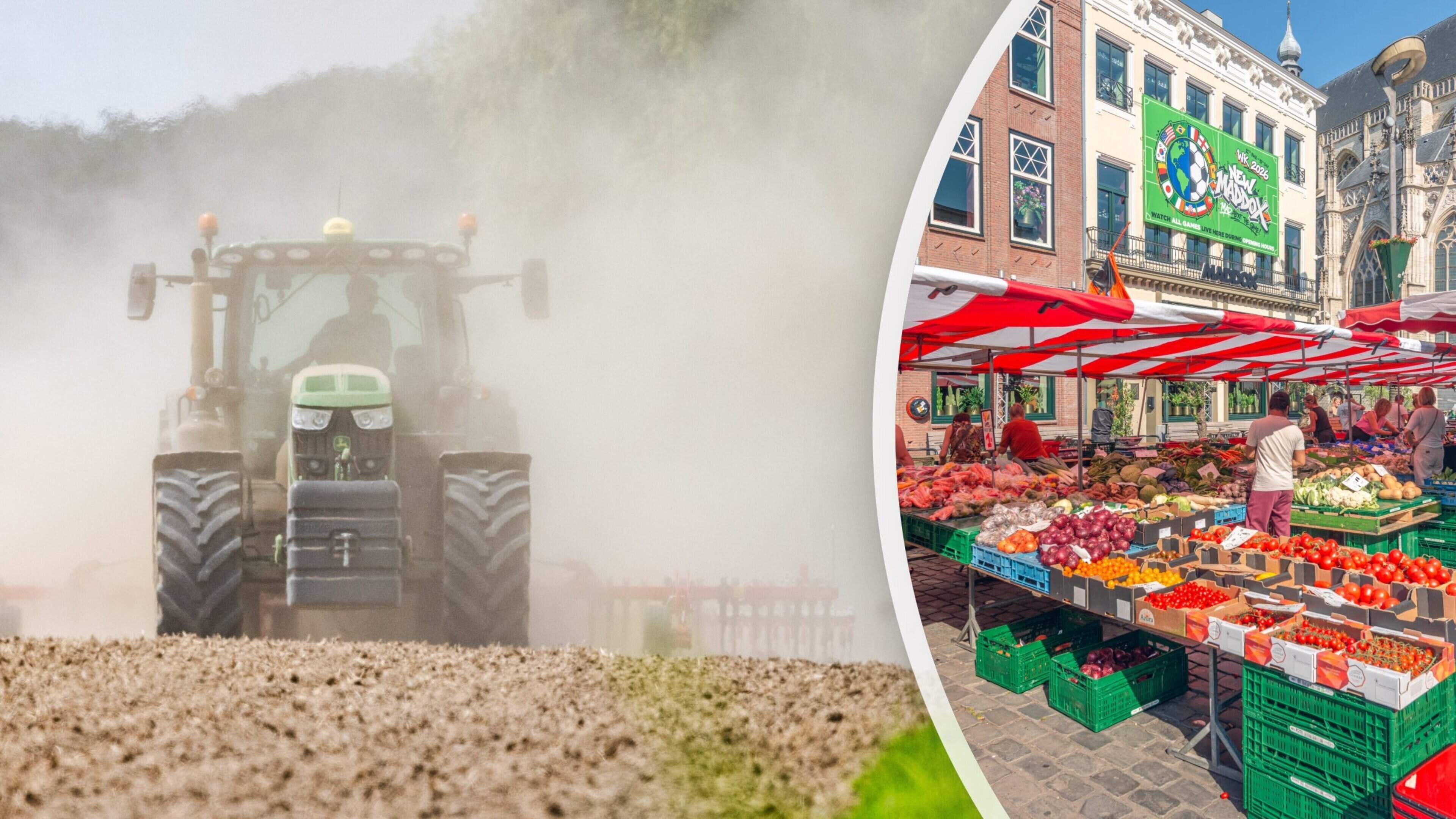 Droogte en hitte zorgen voor stress, maar brengen boeren ook kansen: Nederlandse tomaat wordt nu gegeten in Zuid-Europa