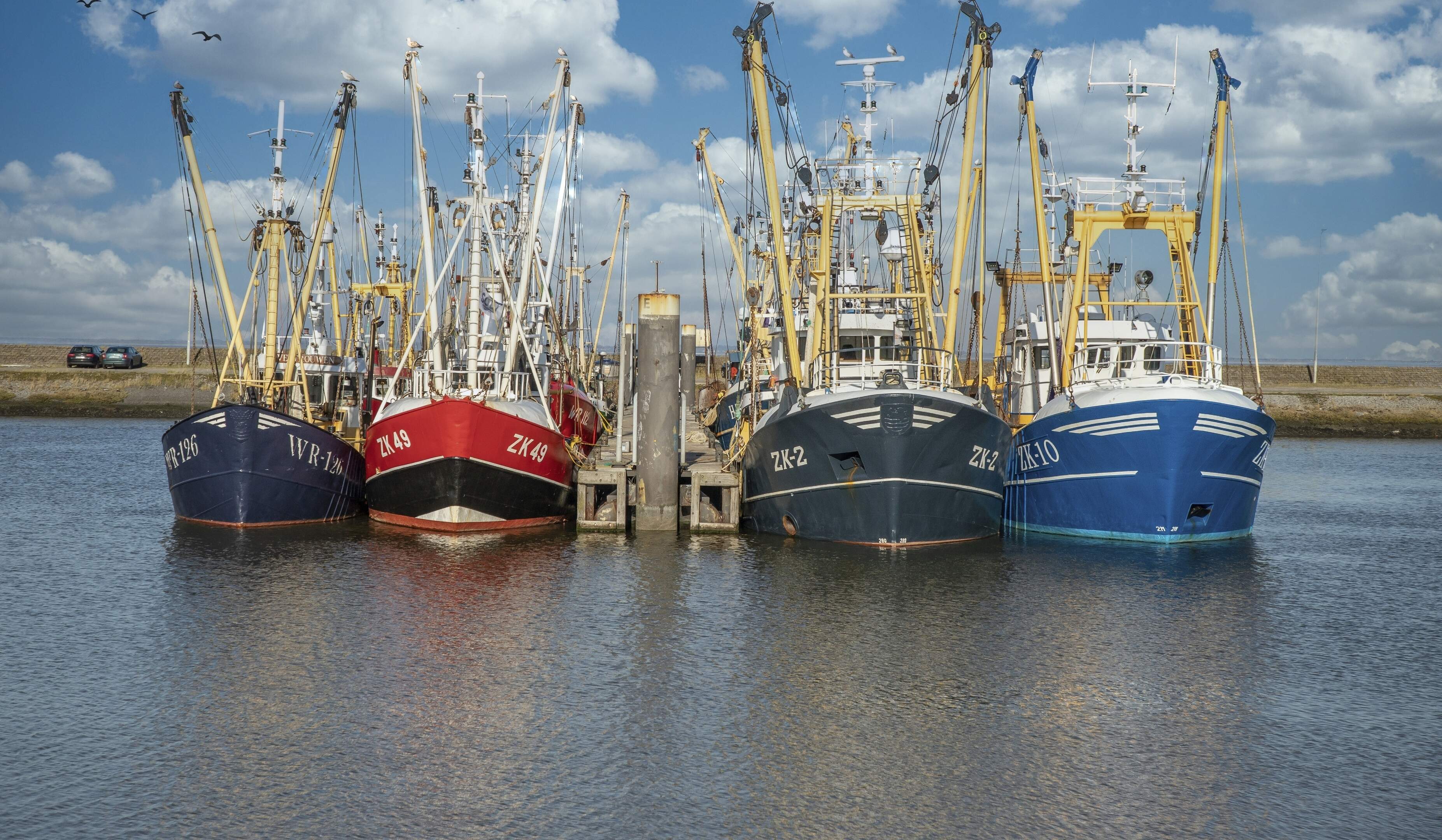 Brussel komt met reddingsboei voor visserij nu dieselprijs pan uit rijst: ’Alle opties in kaart brengen’
