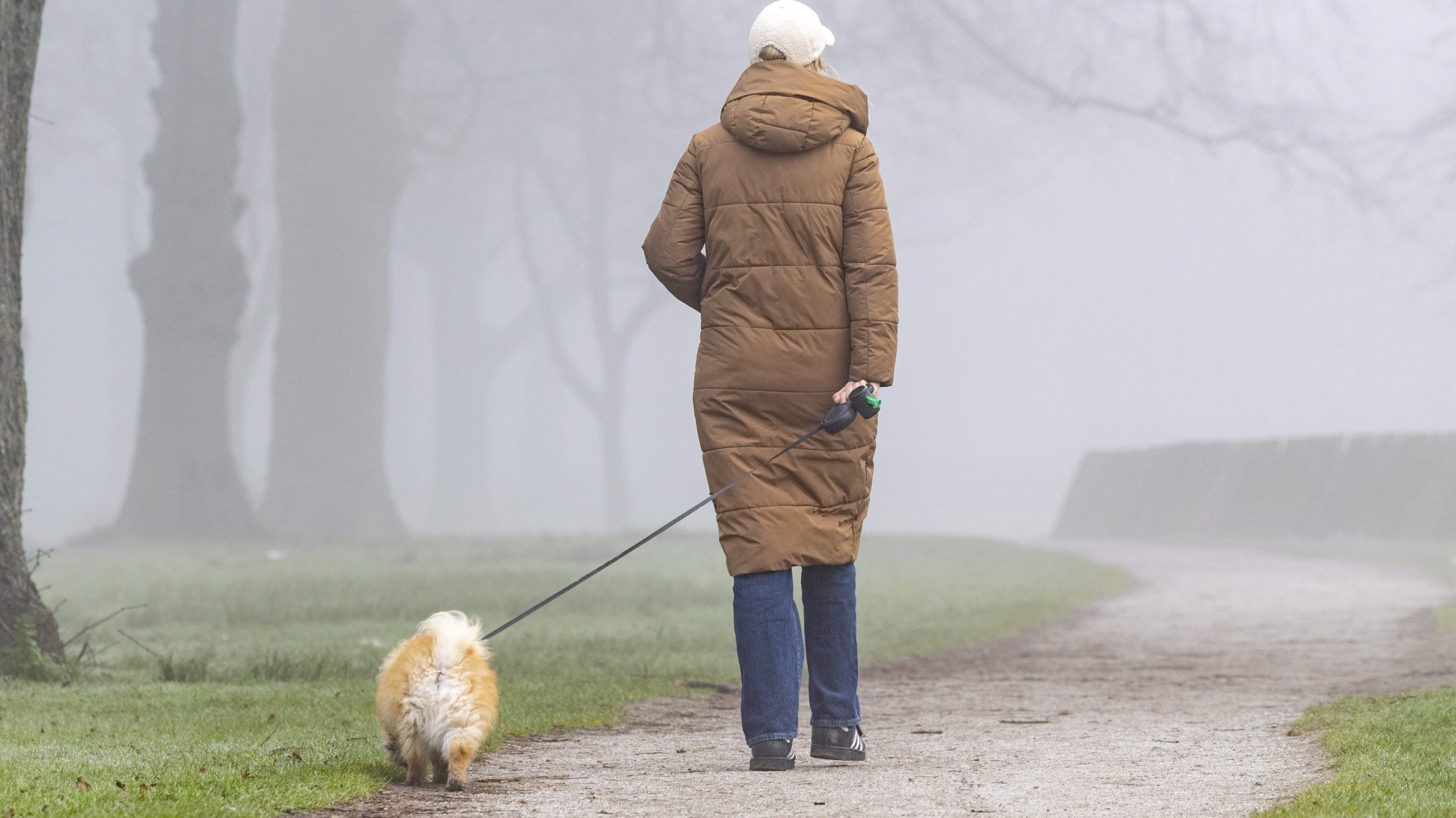 Woensdag mistige start, maar later steeds meer zon: regen blijft komende dagen grotendeels uit — Netherlands