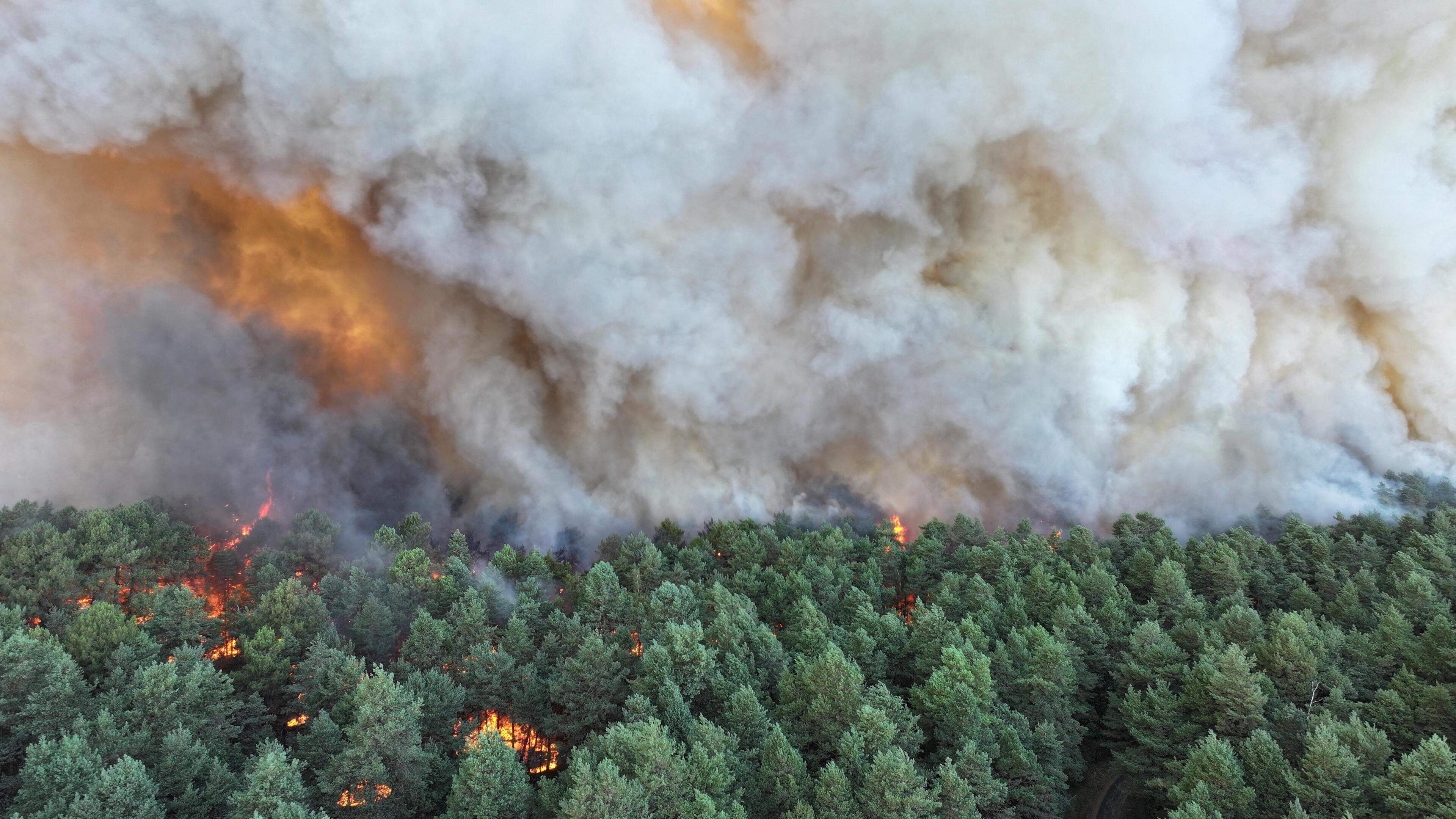 LIVE | Uitzonderlijk grote bosbrand ten zuidoosten van Parijs, honderden brandweerlieden ingezet