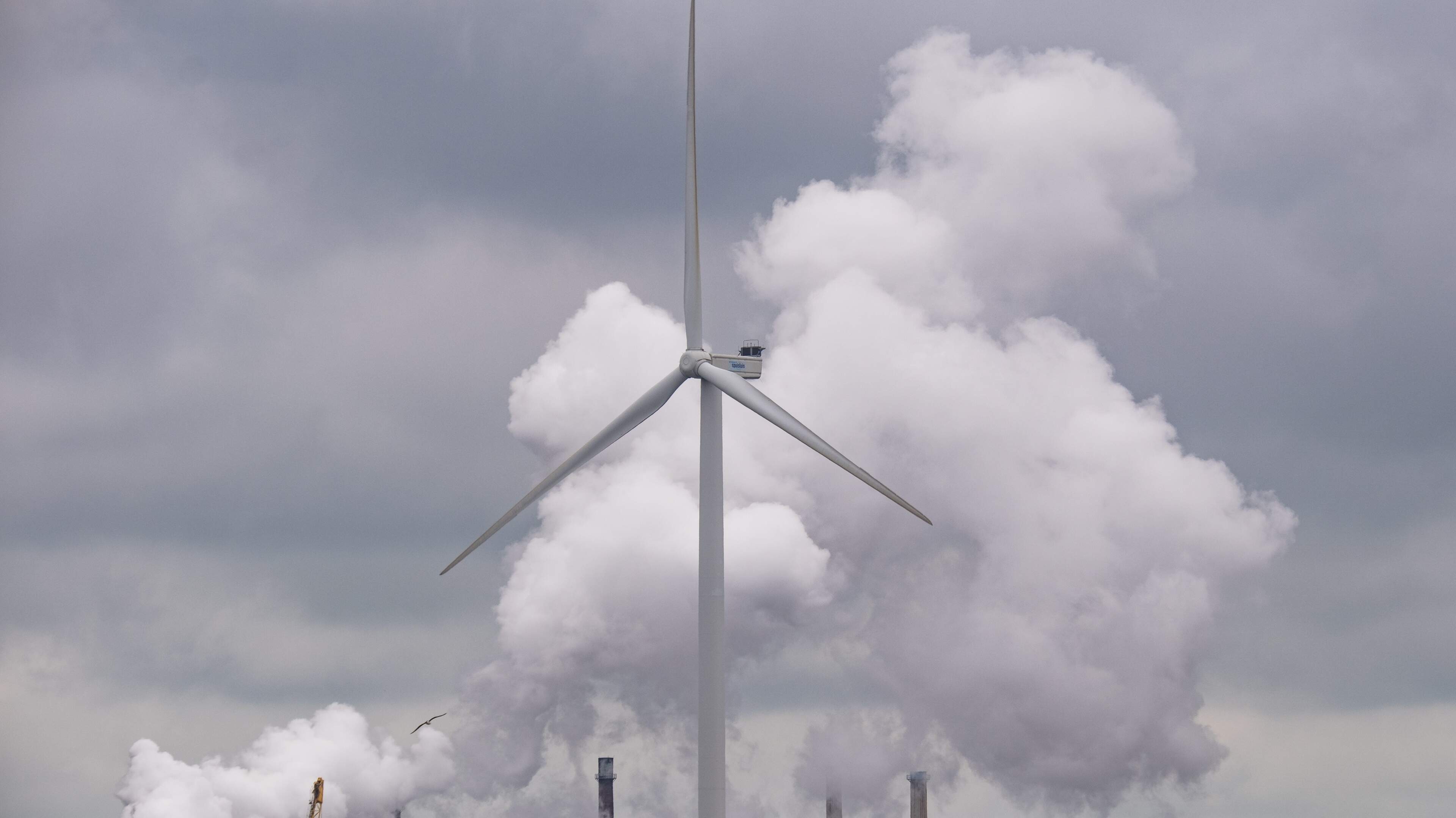 Tata Steel moet binnen maand twee boetes van 100.000 euro betalen