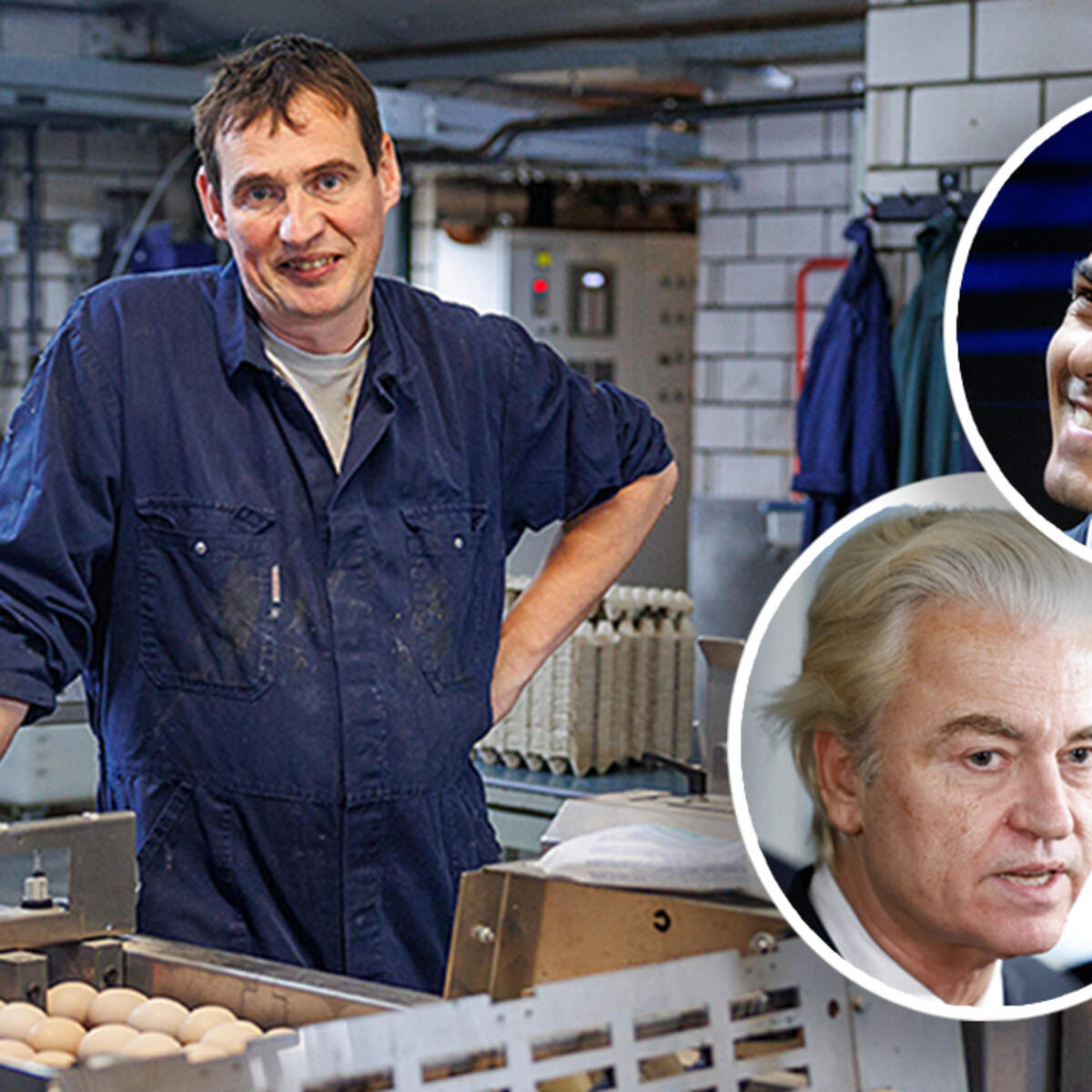 Pluimveehouder Frank Rooijakkers: „Ik heb het verkiezingsprogramma van D66 er maar even bijgepakt.”