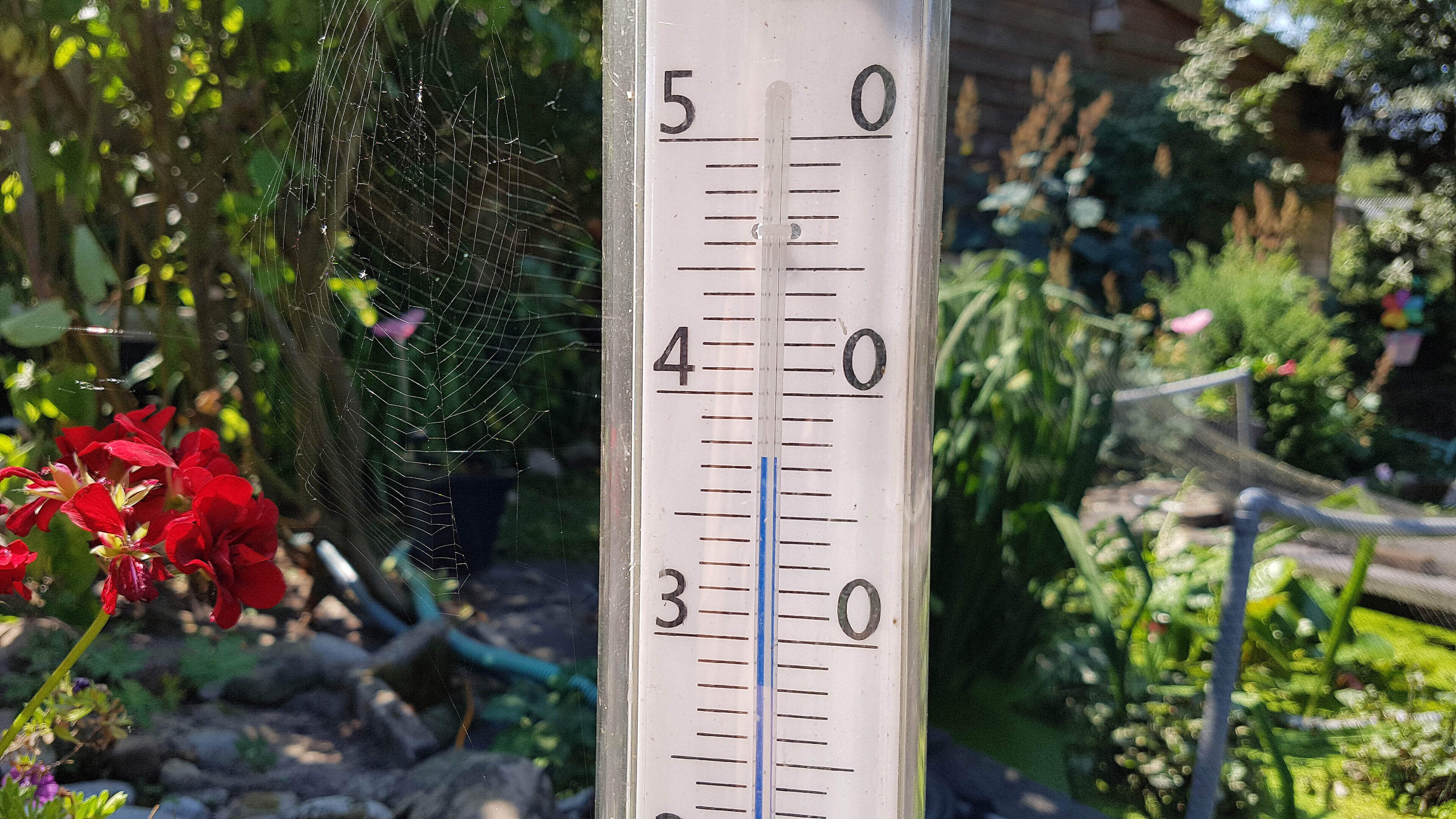 Rampscenario met gigantische temperatuurstijgingen van de baan: ’De wereld komt niet ten einde in 2100’