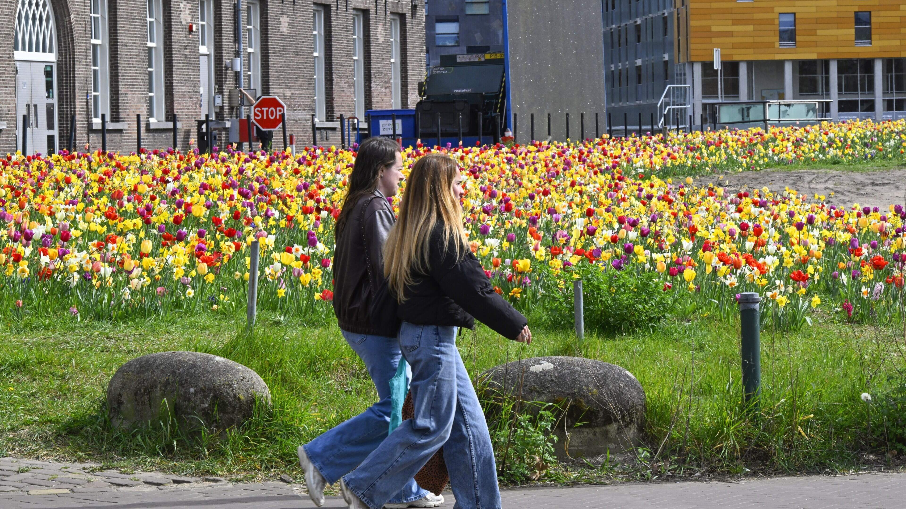 Meerdere stralende lentedagen met volop zon in het verschiet