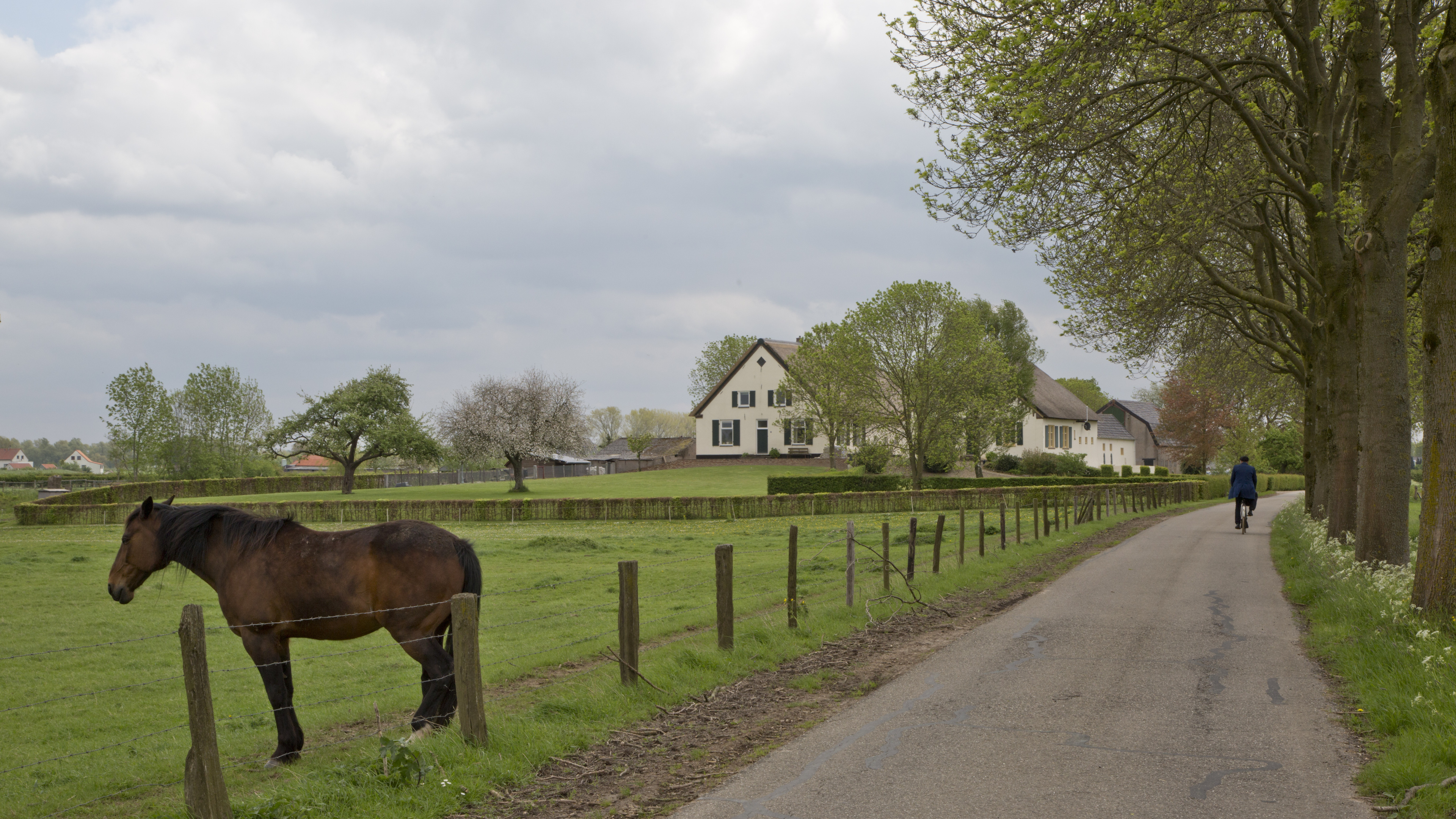 'Hoe langer ik op het platteland woonde, hoe leuker het werd'
