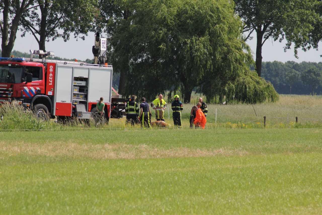 Paard overlijdt na val in de sloot