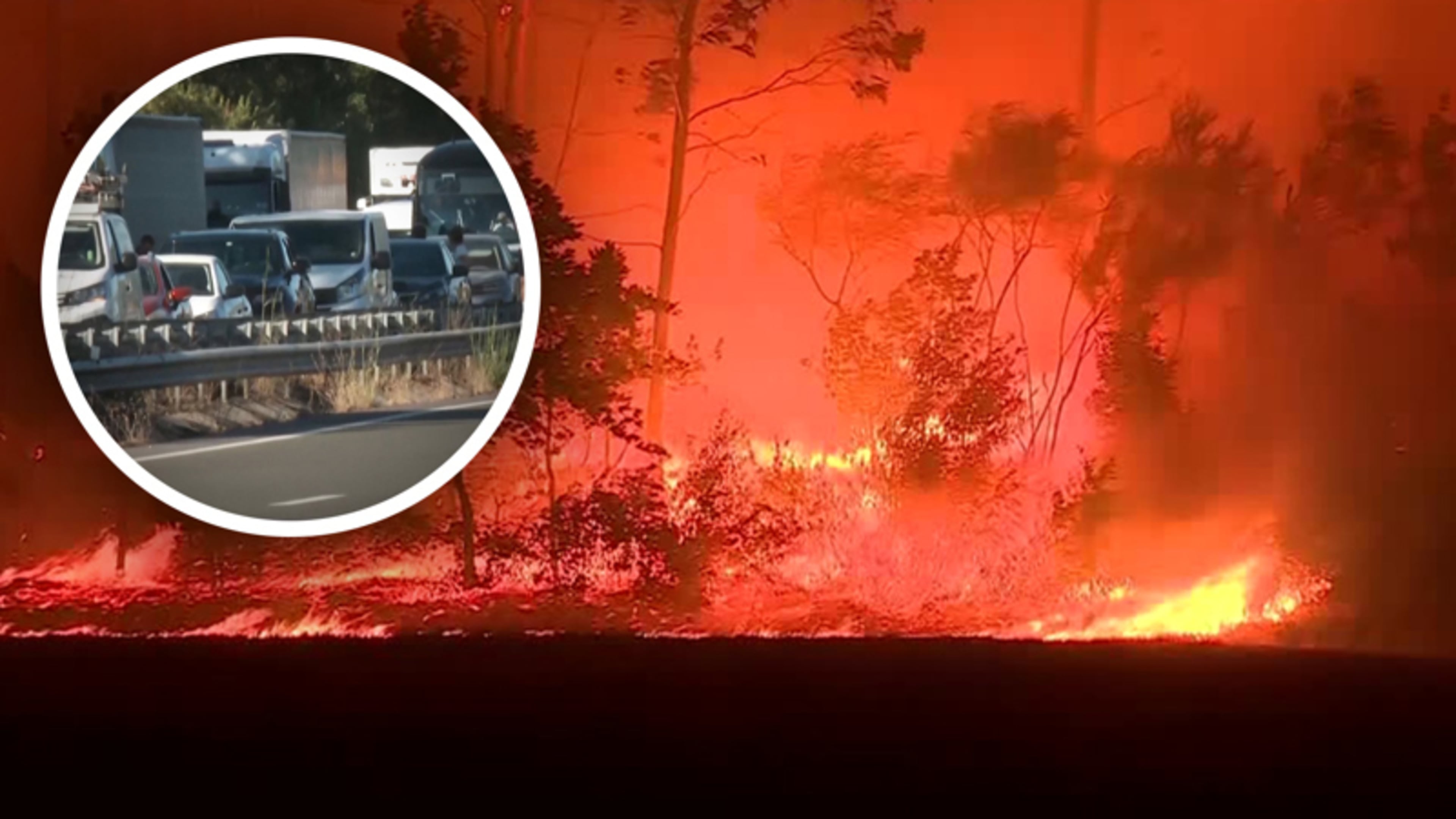 Duizenden Hectare  in vlammen op door bosbranden in Spanje