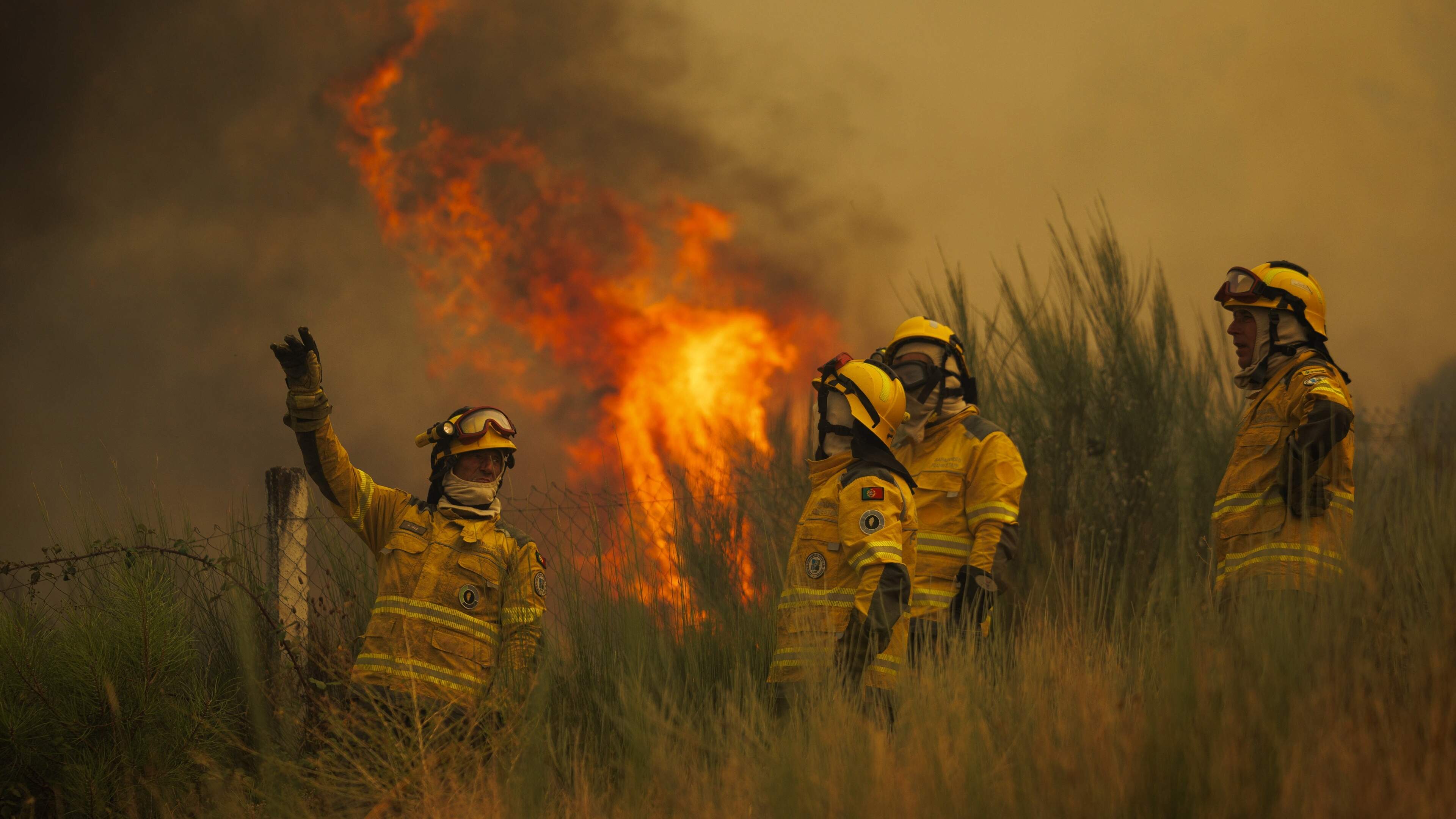 LIVE | Evacuaties in Portugal om snel verspreidende natuurbrand: dorp omsingeld door vuurzee