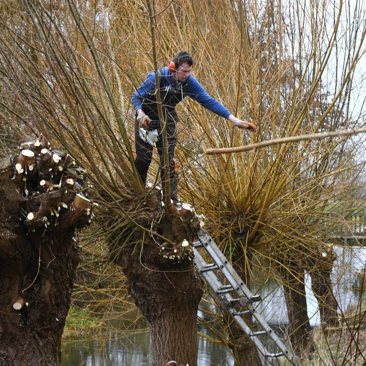 In de landbouw en de groenvoorziening kwamen er in het afgelopen kwartaal de meeste banen bij. 