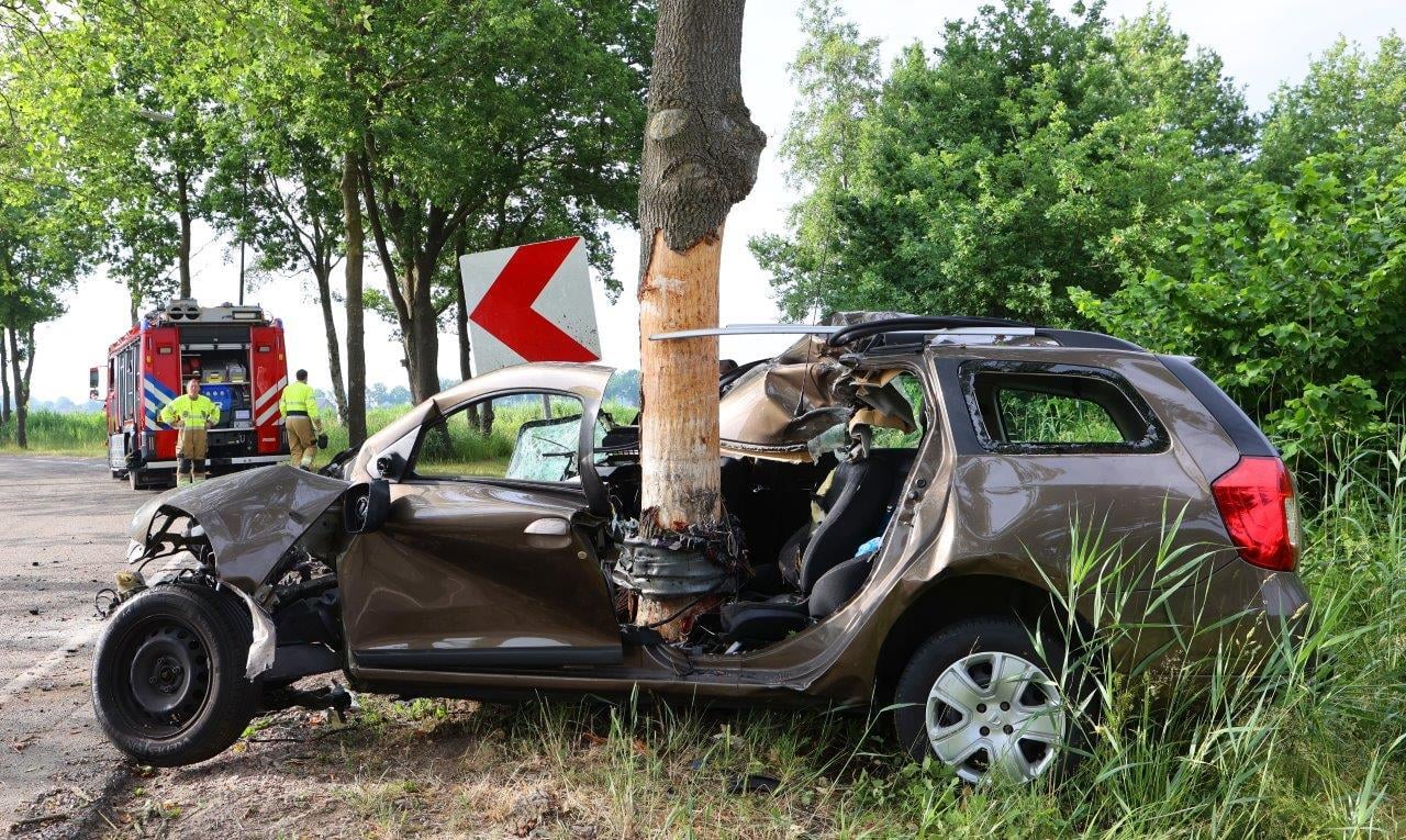 Auto in bocht frontaal tegen boom: man (36) overleden