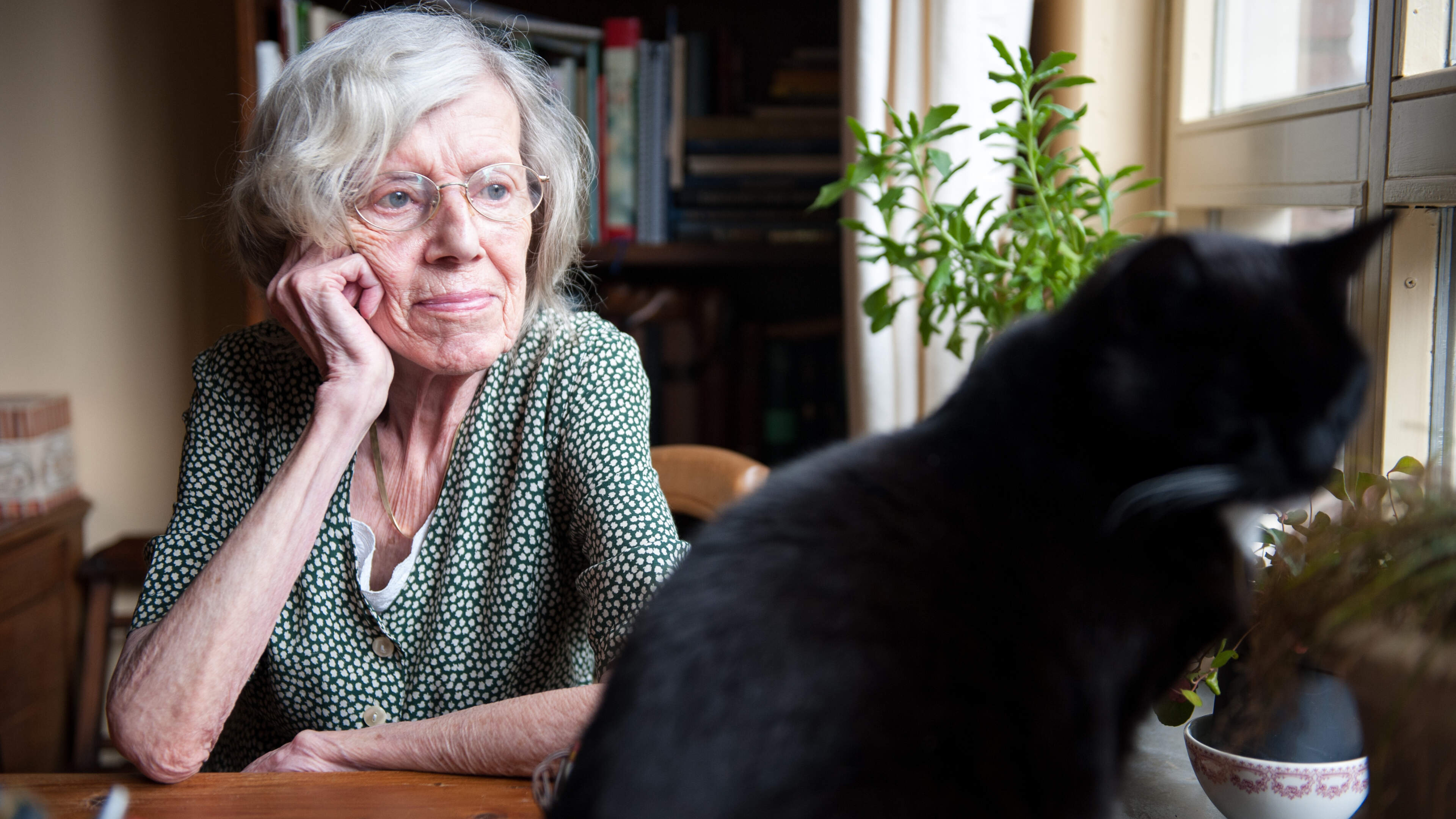 From empty bank accounts to court blockades: how to prevent financial ruin with dementia