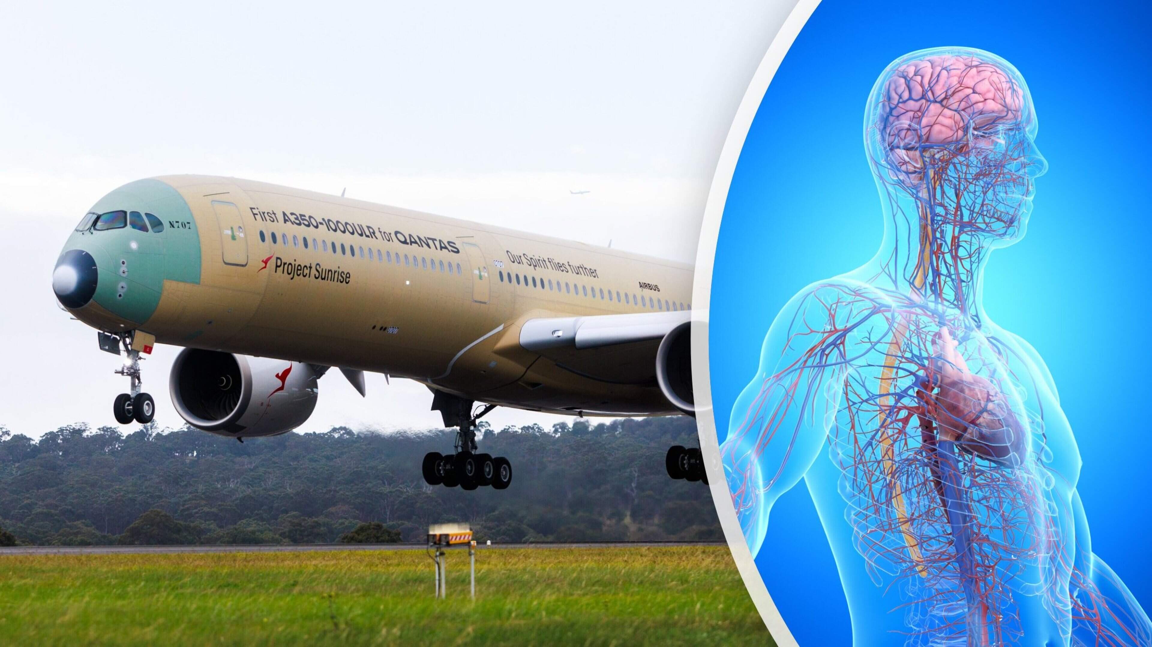 Non-stop recordvlucht van 24 uur met Airbus: dit doet zo lang stilzitten met je lichaam