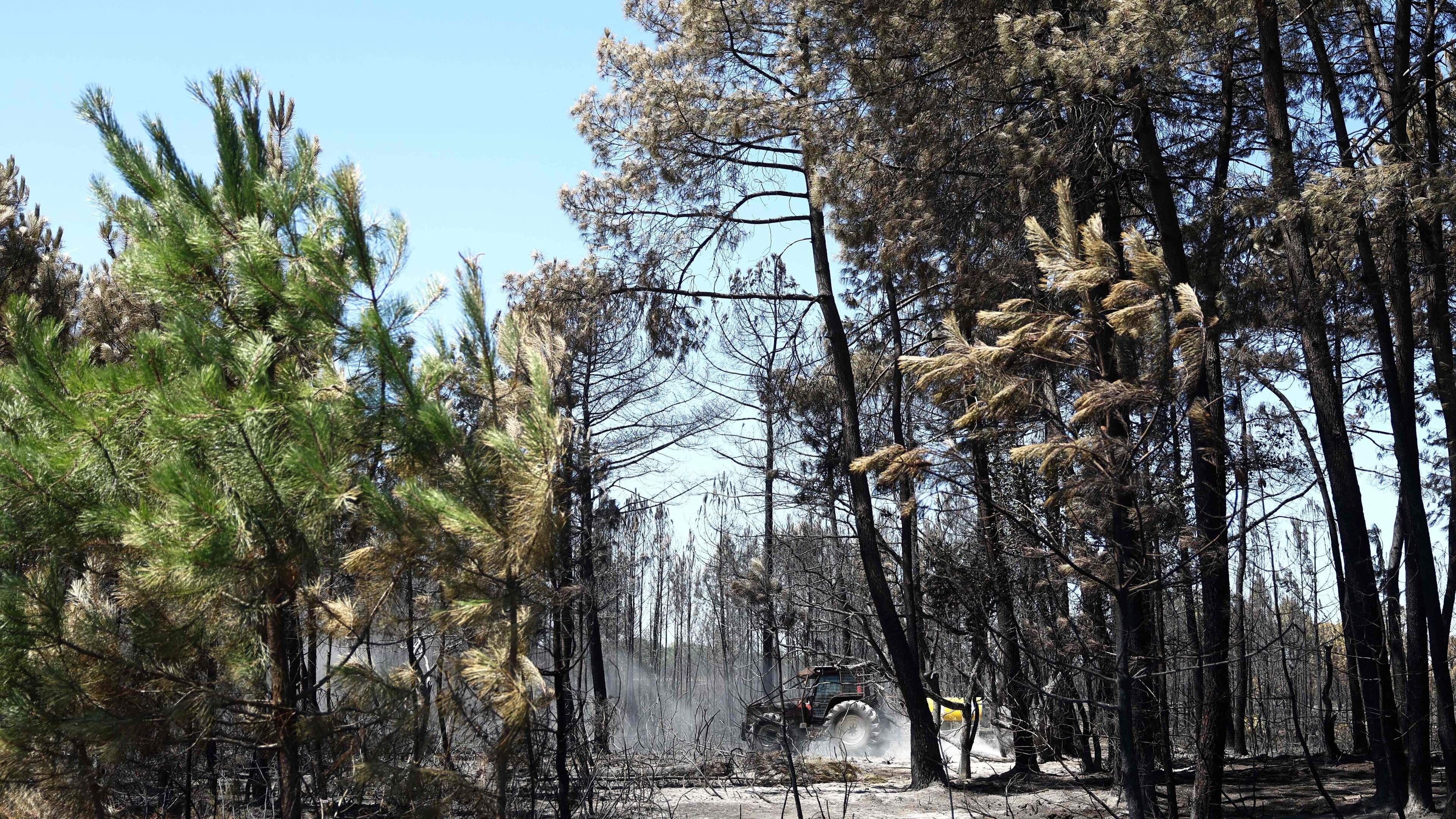 Duizenden toeristen geëvacueerd om natuurbrand bij Bordeaux