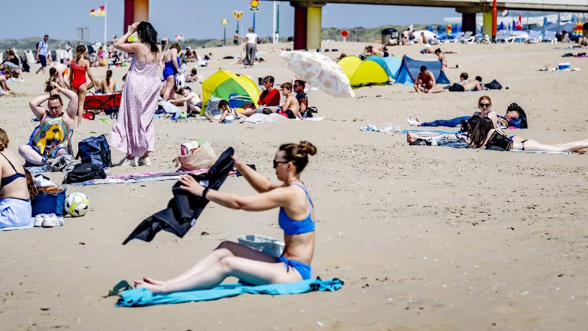 熱帯熱が来る：週末から気温が35度まで上昇する可能性があります