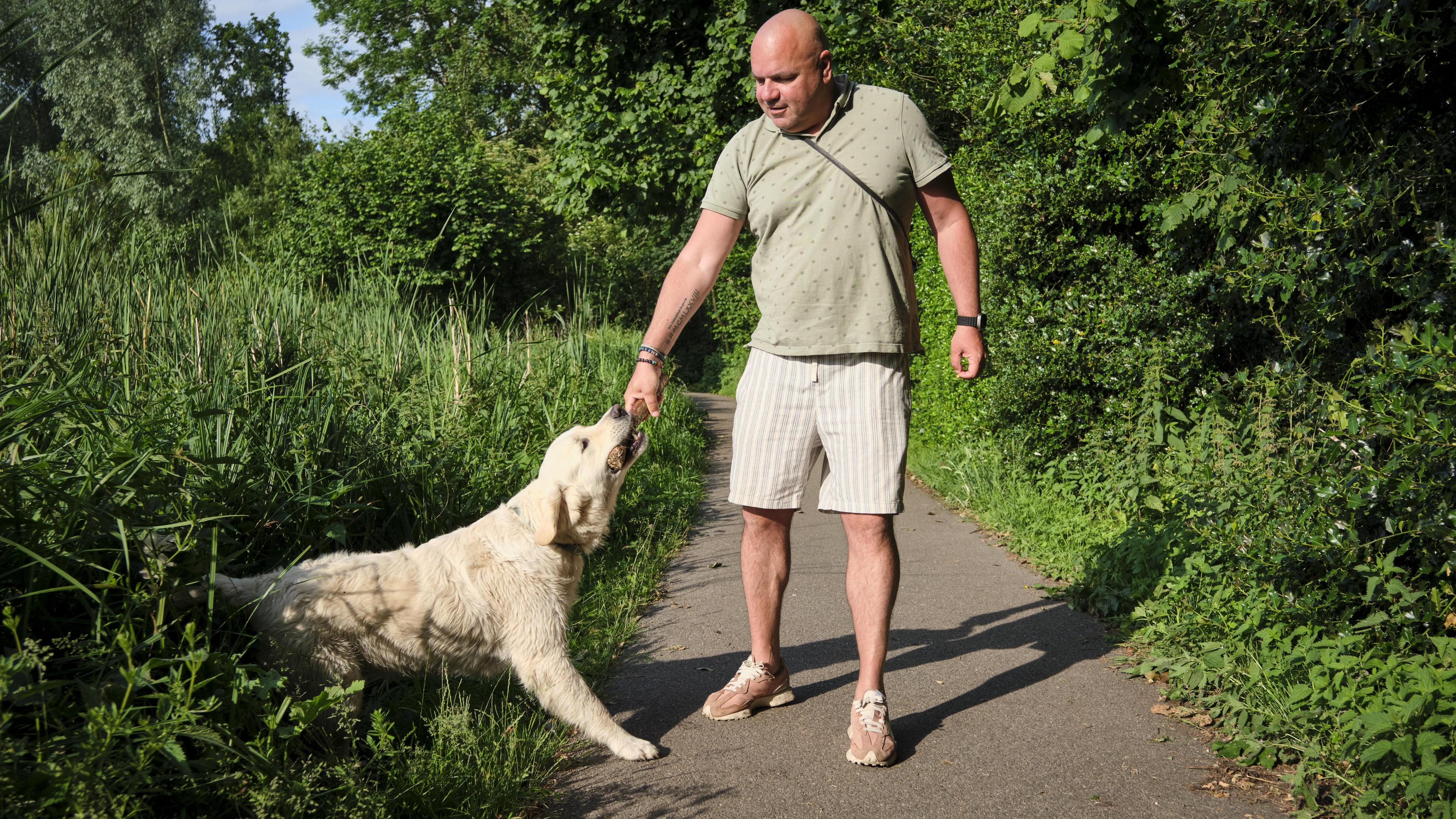 Schok om lugubere dierenmoorden in Capelse Schollebos: ’Dit is echt heel ziek’