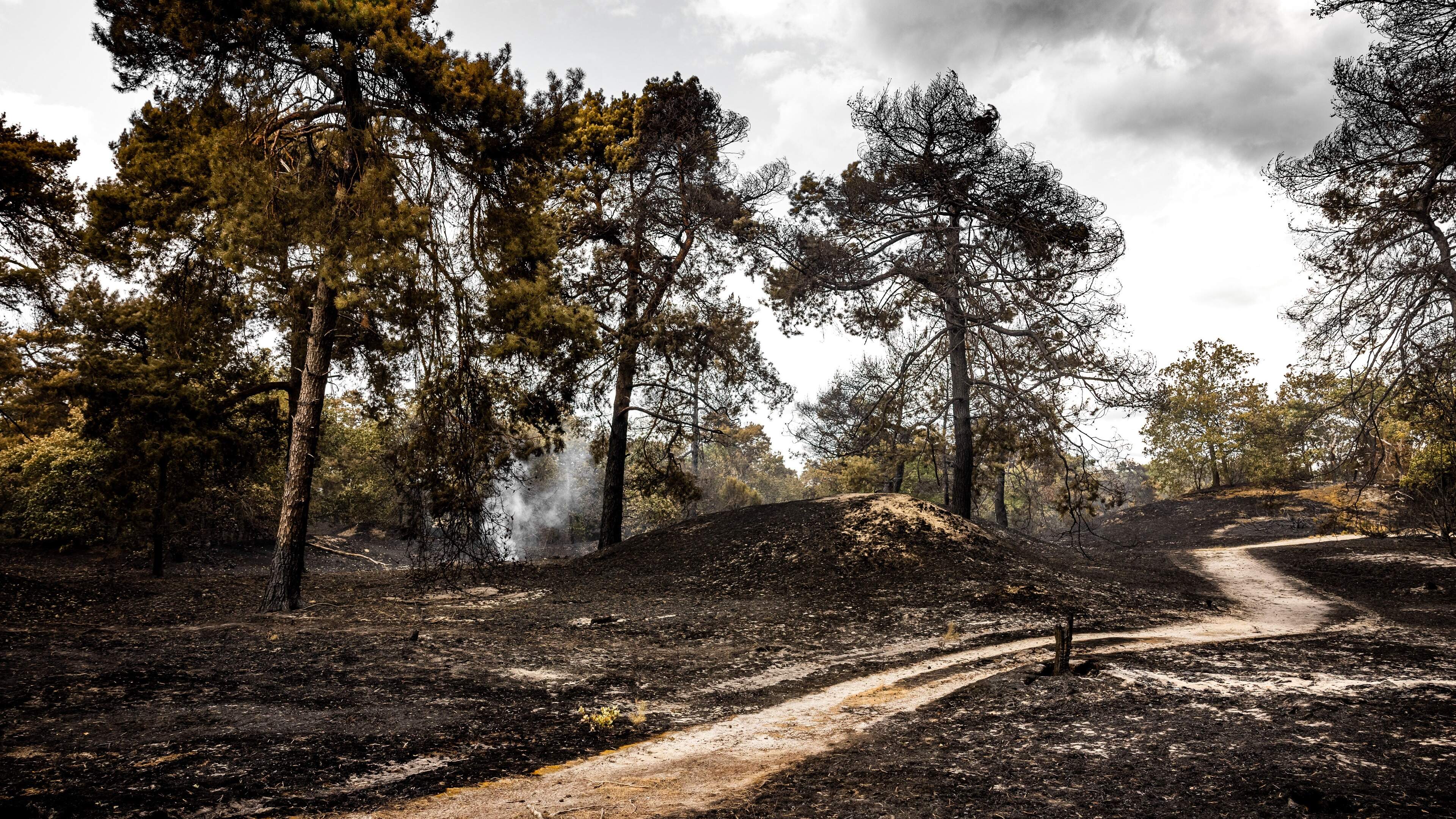 LIVE | Natuurbrand in Limburg weer opgelaaid, volgende week kans op hittegolf met tropische temperaturen