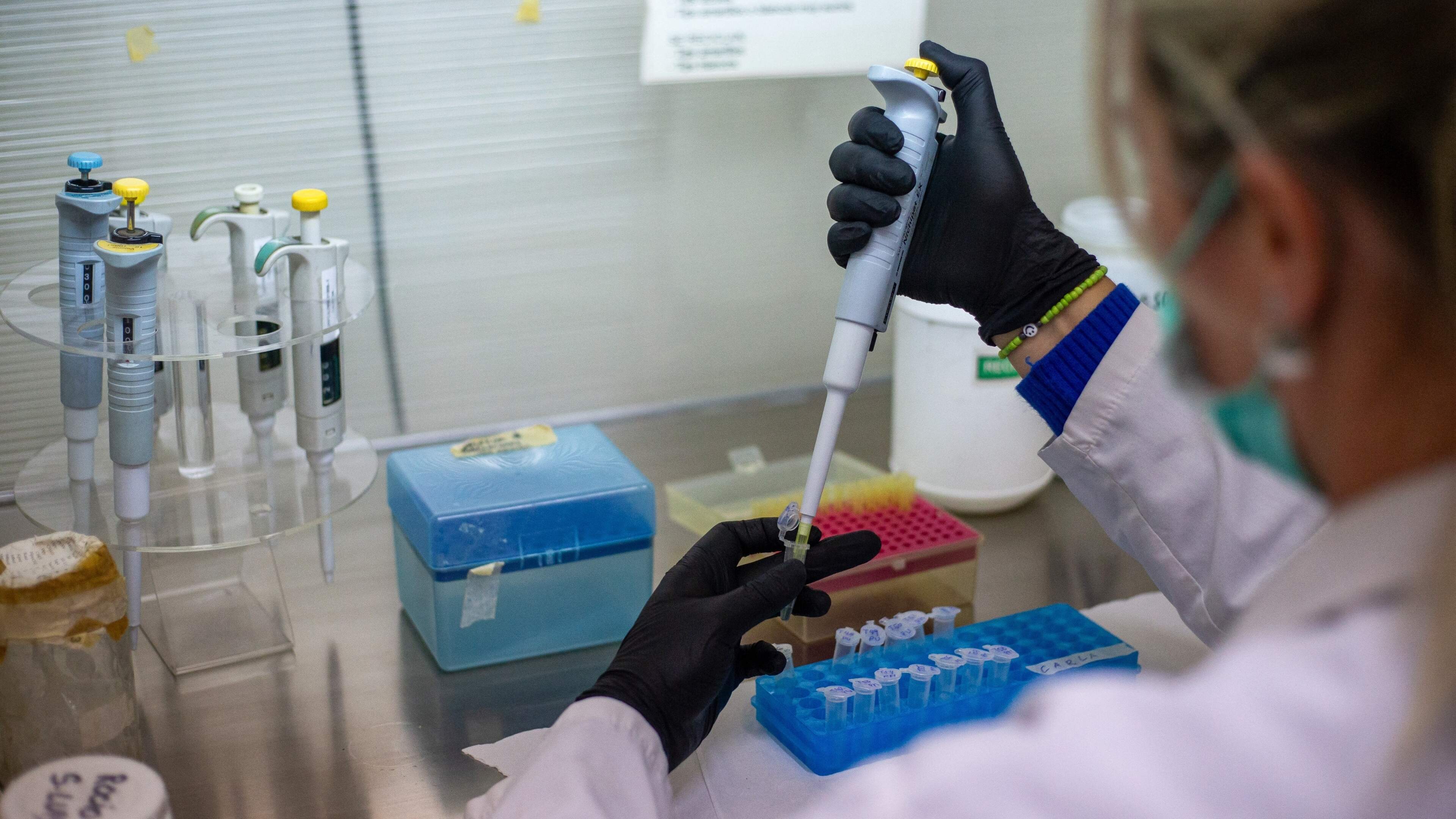 LIVE | ’Onderzoek hantavirusvaccin werd gestaakt om geldtekort’