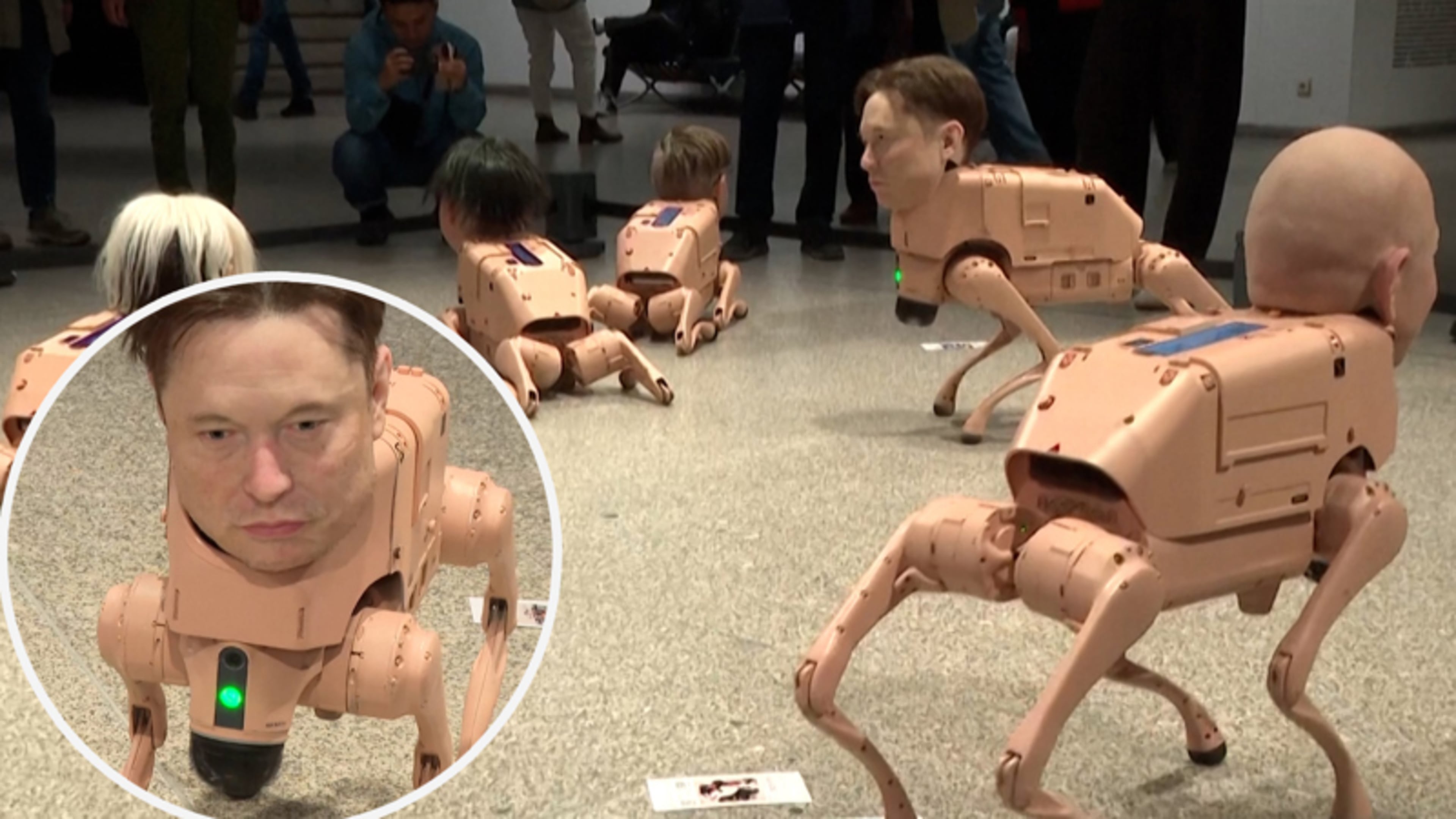 Tech-bazen en Kim Jong-un op de hak genomen bij opmerkelijke tentoonstelling