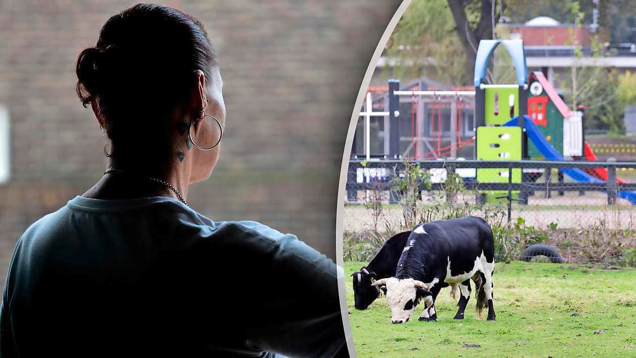 Schokkend relaas Monica (48) over kindertijd in jeugddorp De Glind: ’Pleegvader vroeg of ik zijn vog
