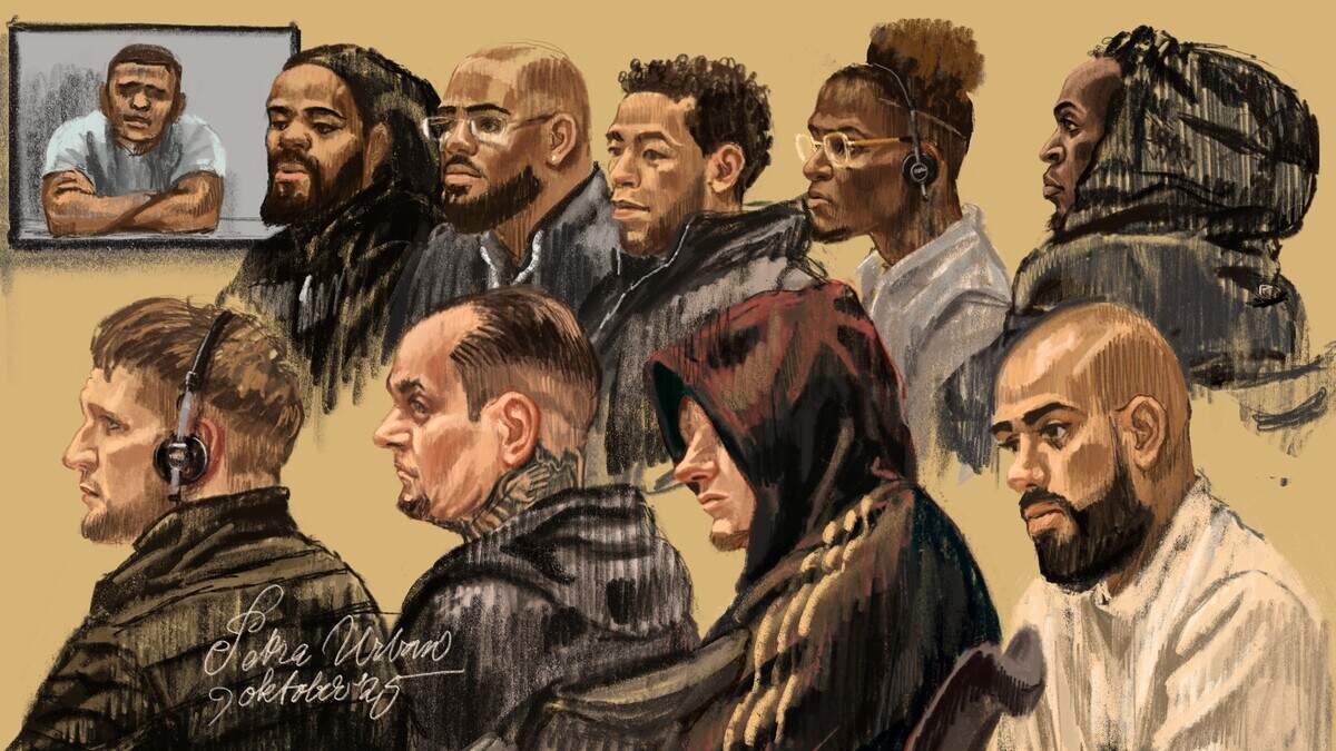 控訴審で、検察庁はピーター・R・デ・フリース殺害の容疑者3名に終身刑を求刑