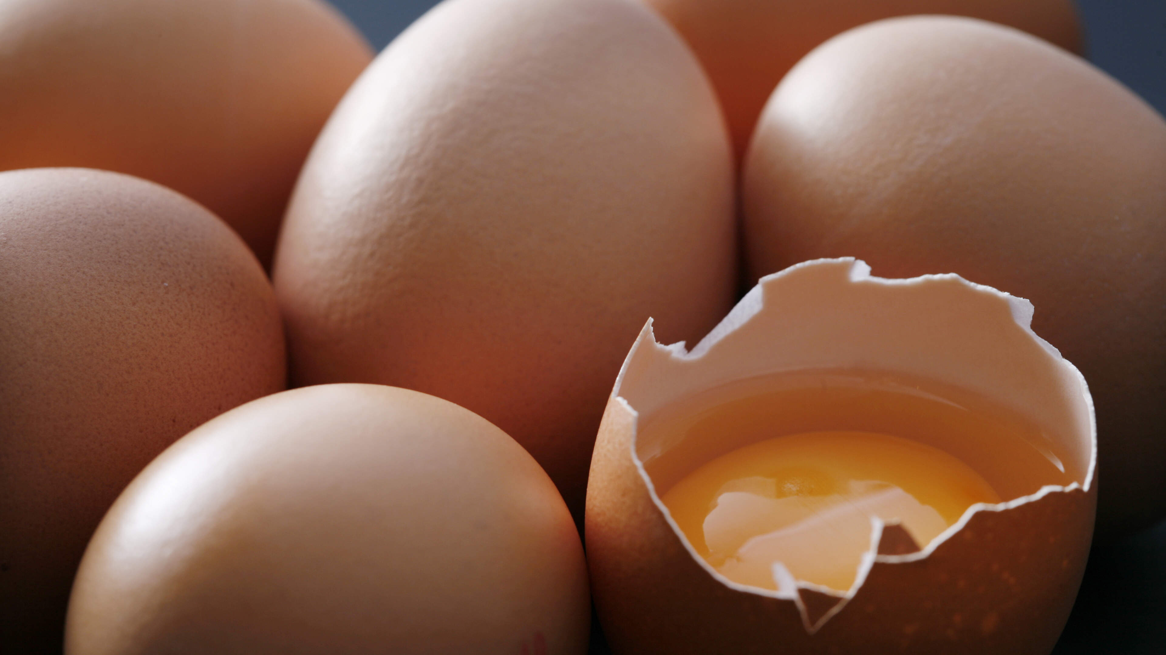Eieren met salmonella ook in Nederland teruggeroepen: het eten kan gevaarlijk zijn, op deze symptomen moet je letten