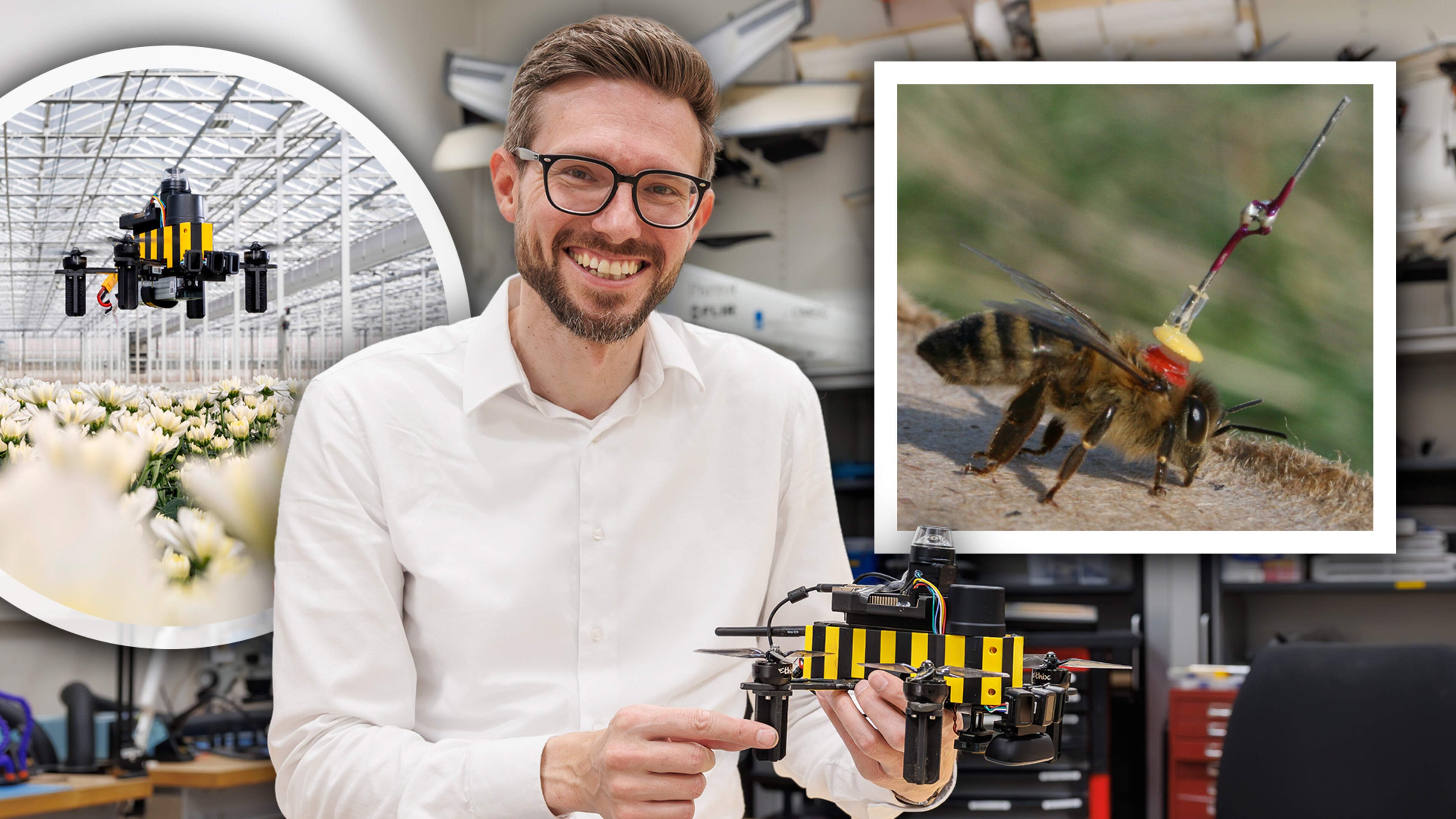 Honingbij inspireert wetenschappers: Bee-Nav kan toekomst autonome robots ingrijpend veranderen