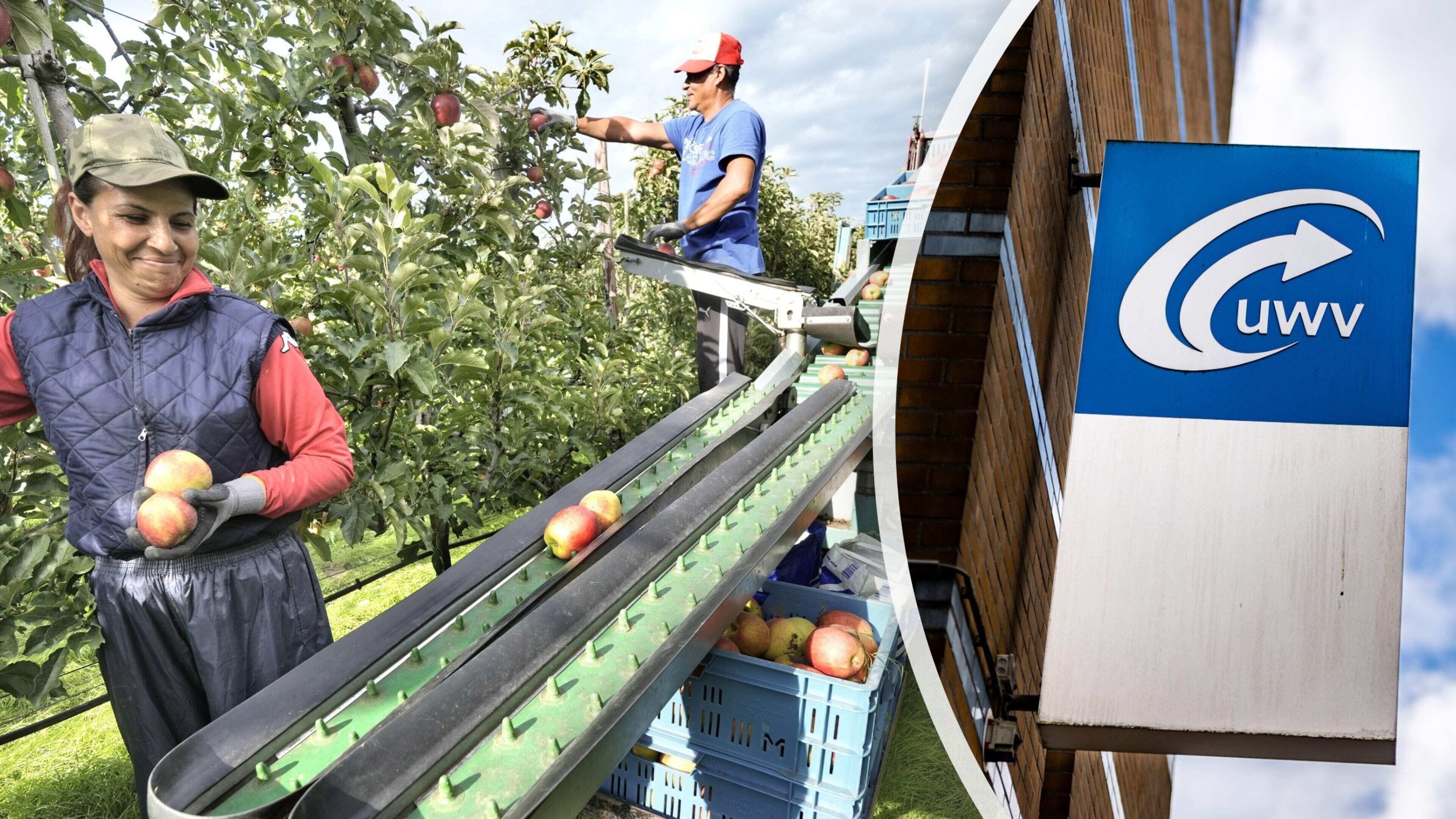 Werklozen mogen straks twee keer zo lang uitkering meenemen naar het buitenland: ’Voor sommigen wordt het een lange vakantie in thuisland’