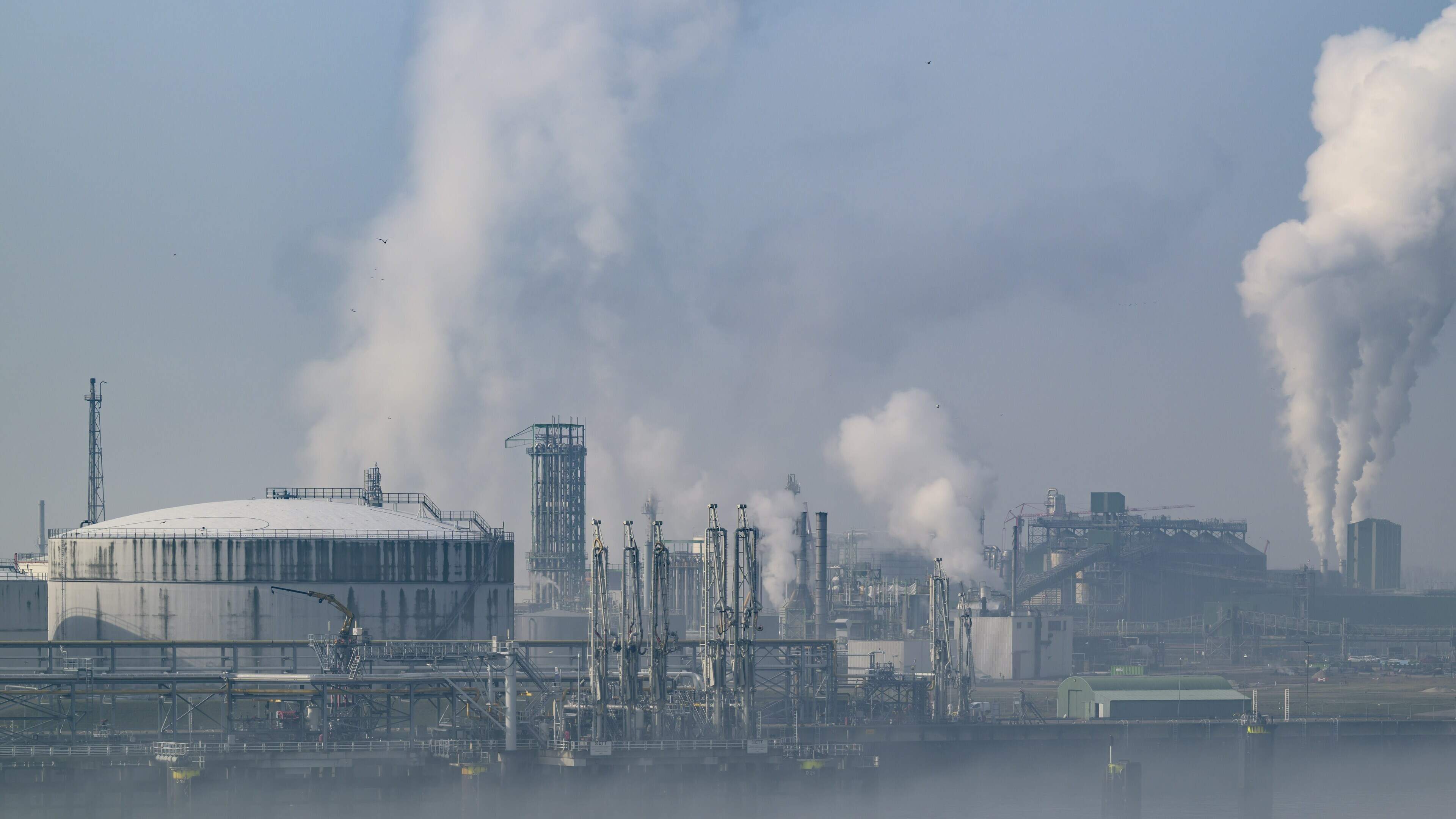 Overslag haven Rotterdam ondervindt geen hinder van onrust Midden-Oosten: ’Stikstofpakket kabinet positief voor getroffen industrie en energiesector’