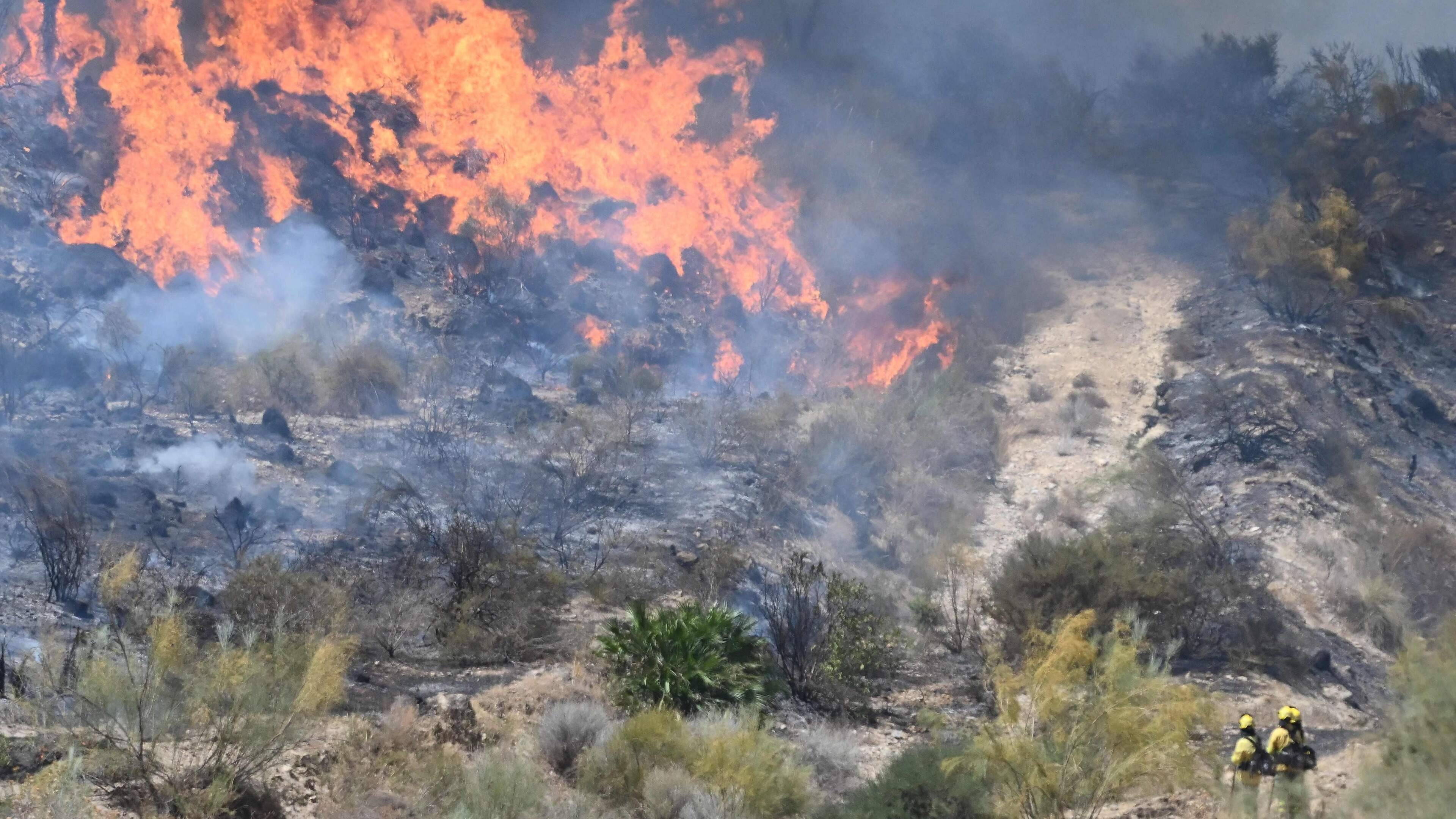 LIVE | Belg (63) overleden bij bosbrand in Zuid-Spanje, zoon reageert: ’Er zijn nooit waarschuwingen gegeven’