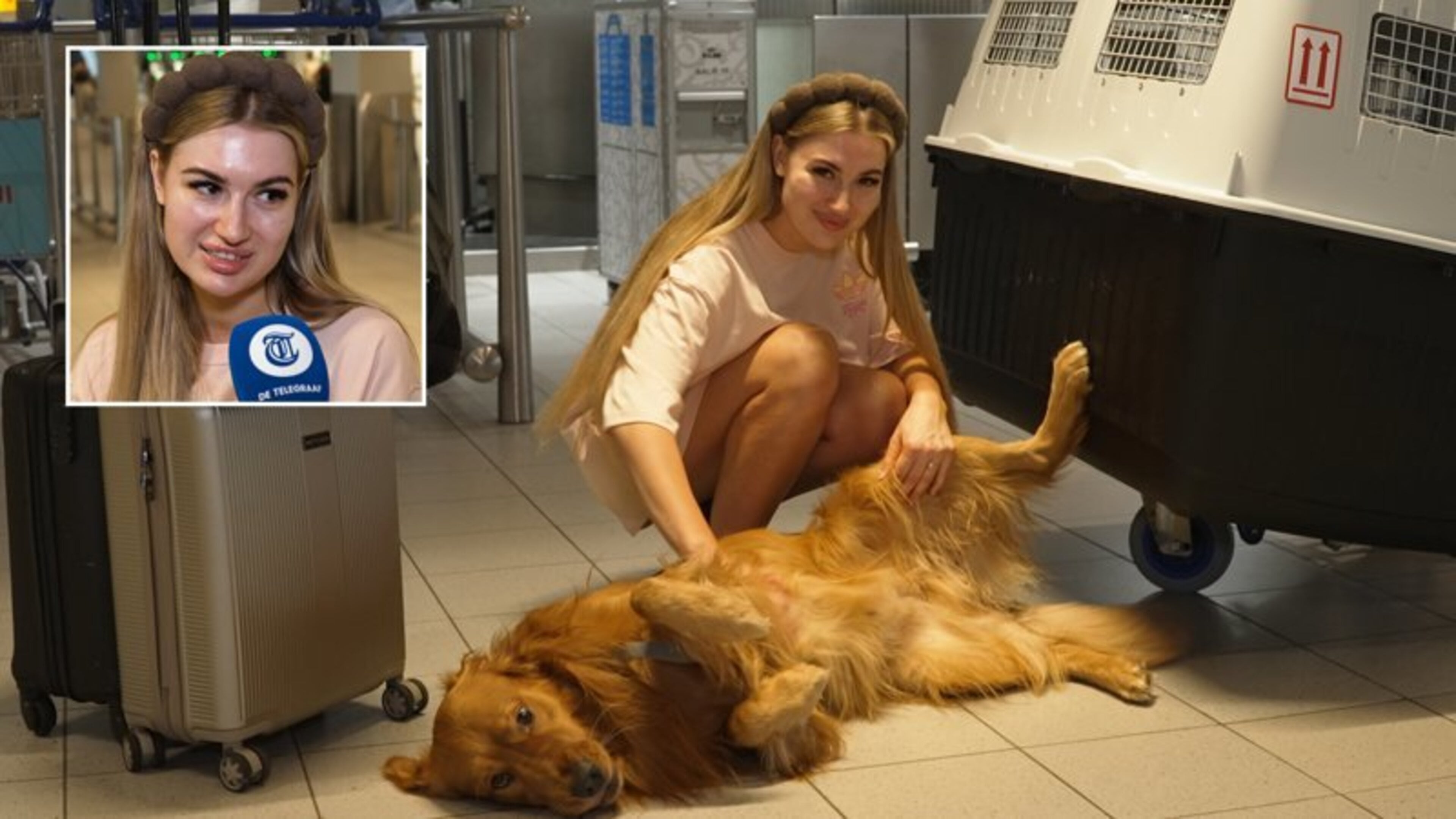 Alex neemt twee honden mee in vliegtuig maar is bloednerveus: ‘Het zijn m’n eerste kinderen’