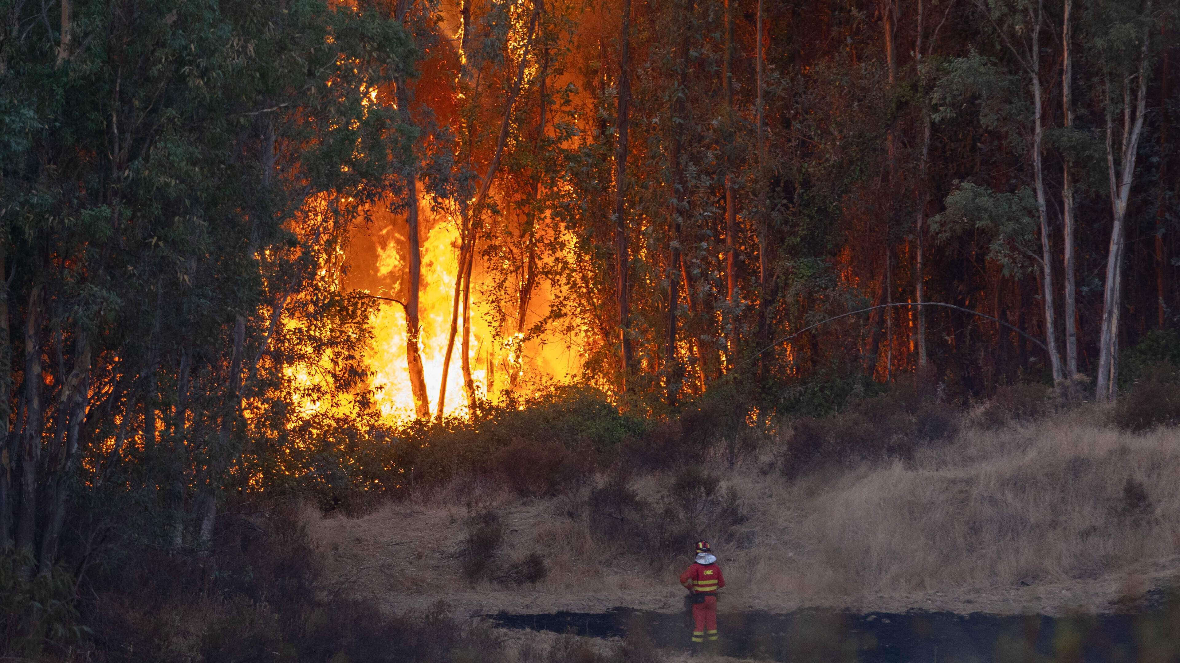 LIVE | Al 20.000 hectare verwoest bij bosbrand in Zuid-Spanje, blussen duurt nog dagen