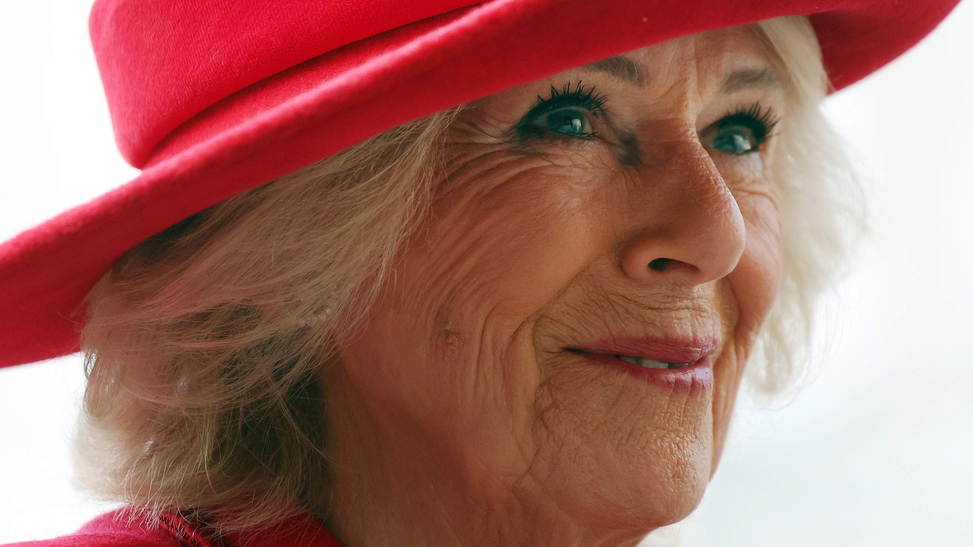 Koningin Camilla (78) komt met knuffeldier naar New York