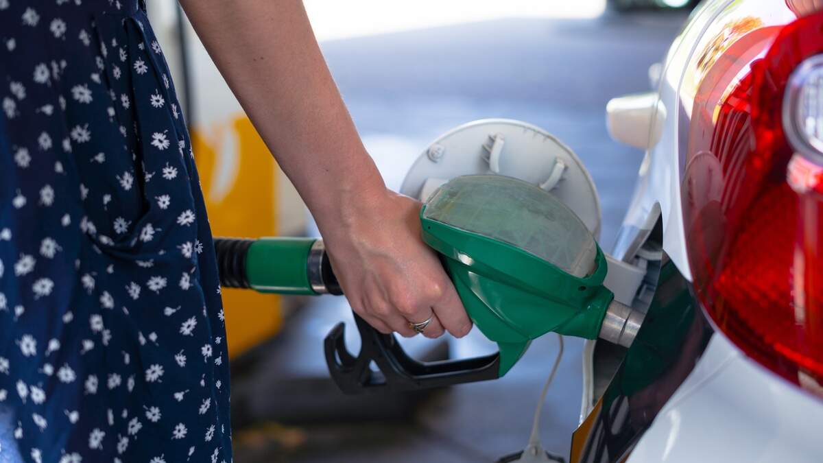 TNO：ガスと電気の価格は今後数年で下落します