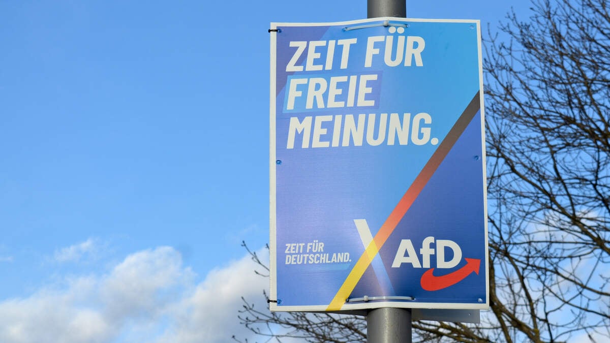 Photo: De Telegraaf Hackers Claim Access to 400,000 Internal AfD Emails in Cyberattack