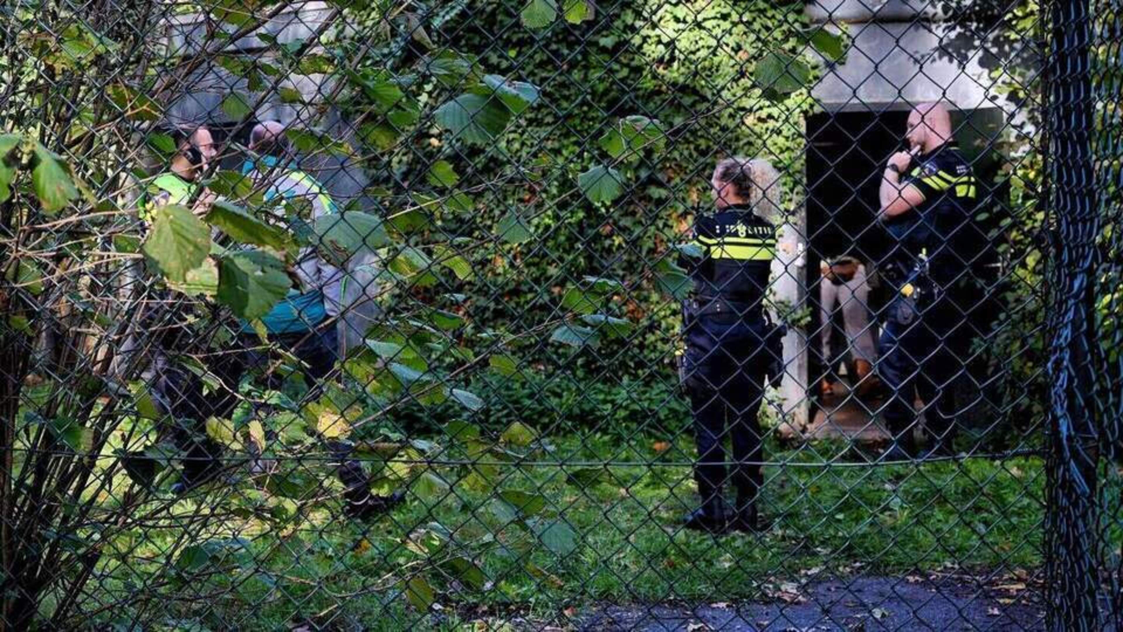 Situatie dierenverzorgster Beekse Bergen nog altijd zorgwekkend na aanval Perzische panter