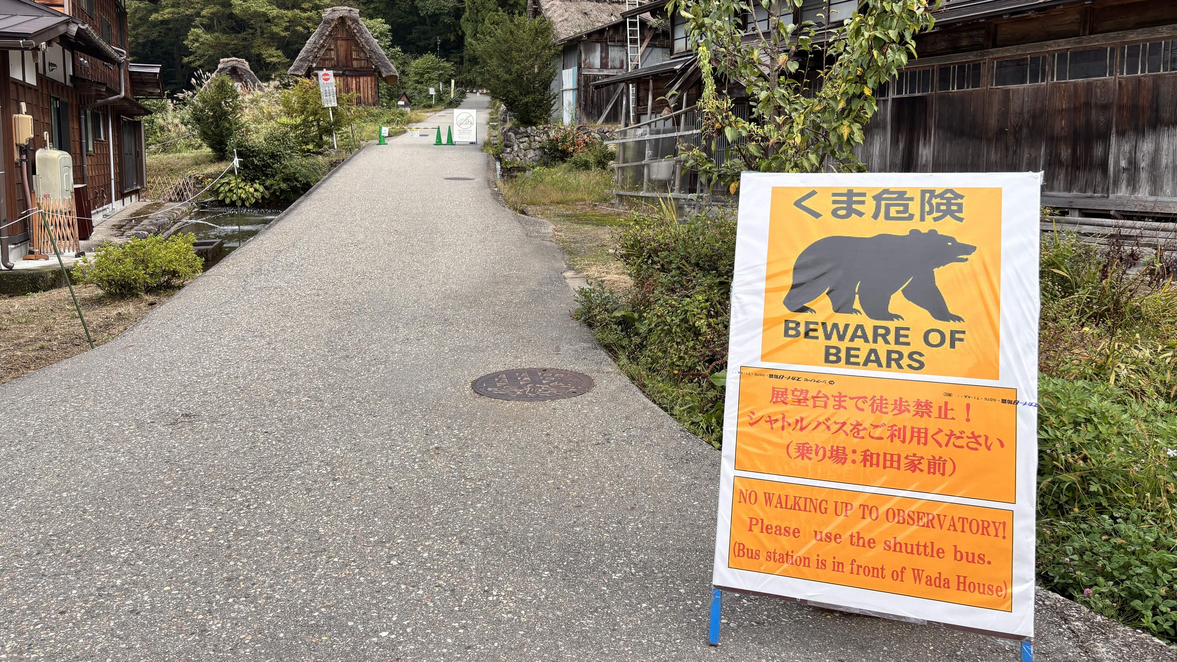 Japan bevestigt eerste dodelijke beeraanval van 2026, vrouw (55) gedood