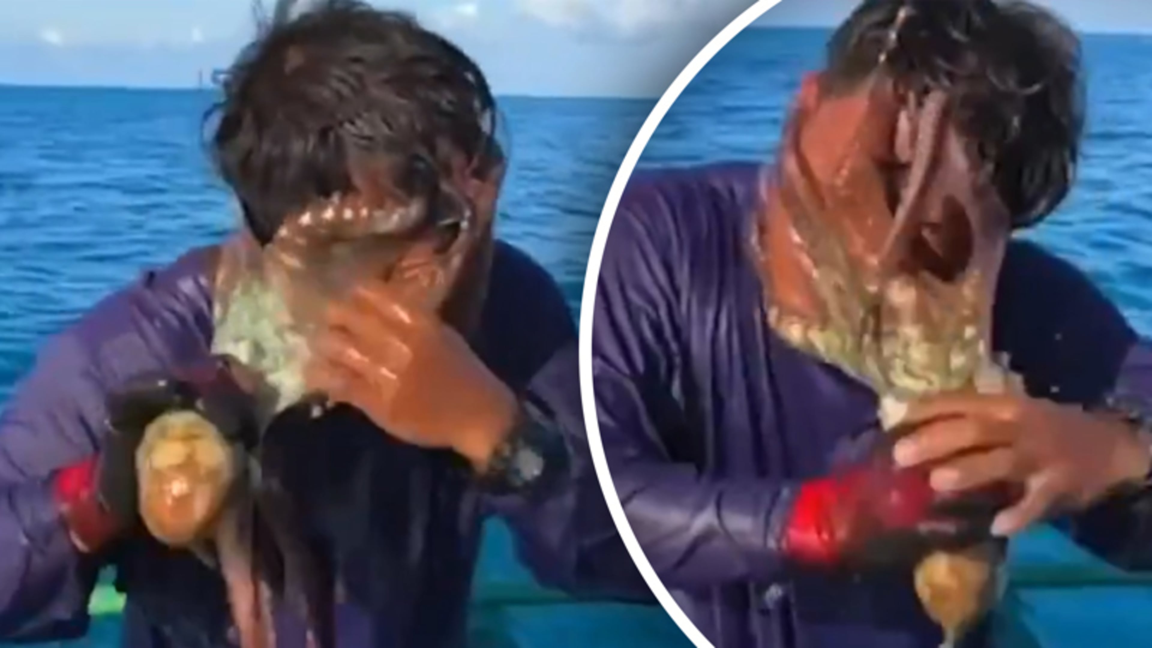 Bizarre beelden: octopus zuigt zich vast aan gezicht van visser