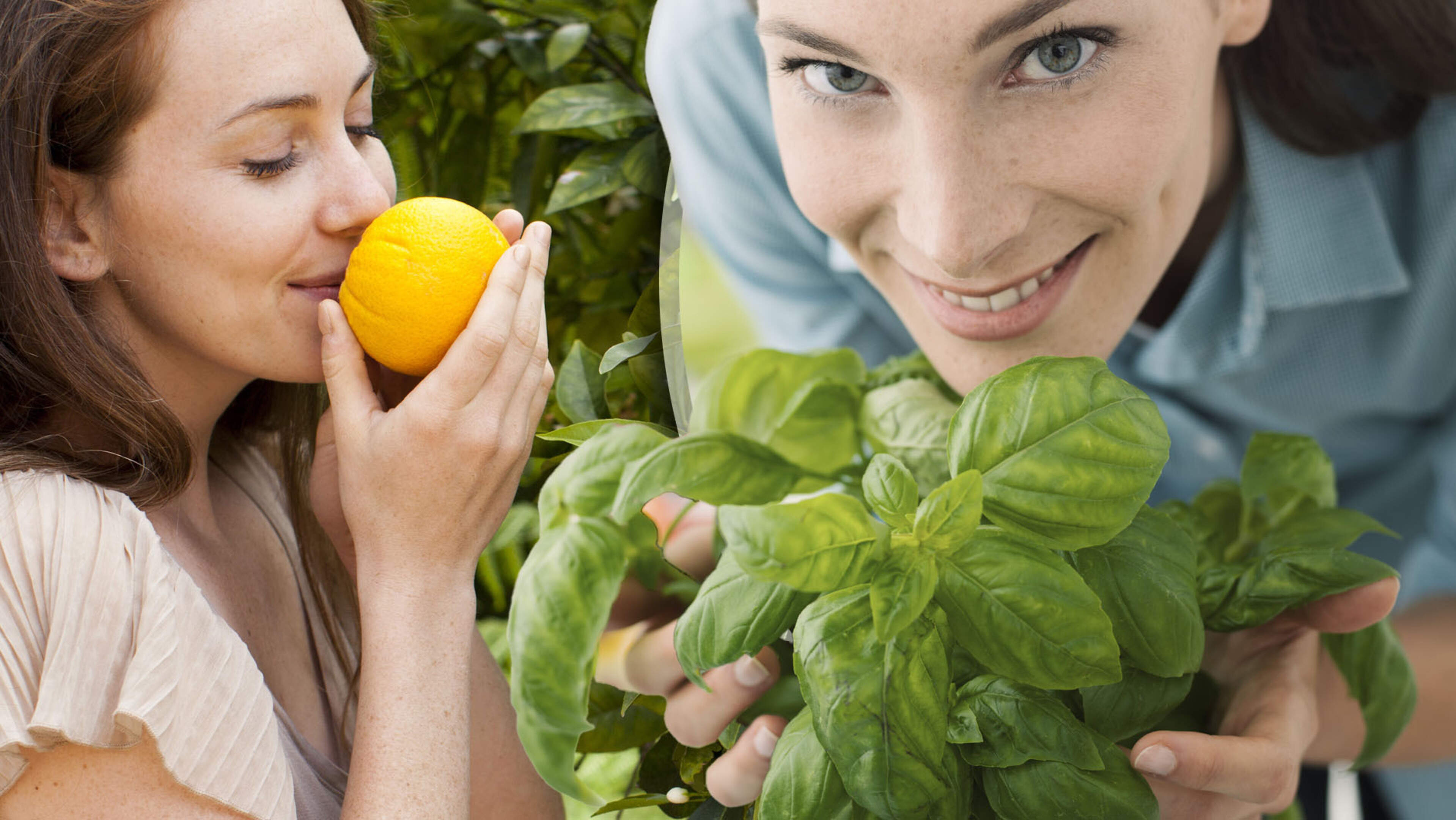 Zo worden onze hersenen gemanipuleerd door geuren: ’Voortdurend verleid met aroma’s’