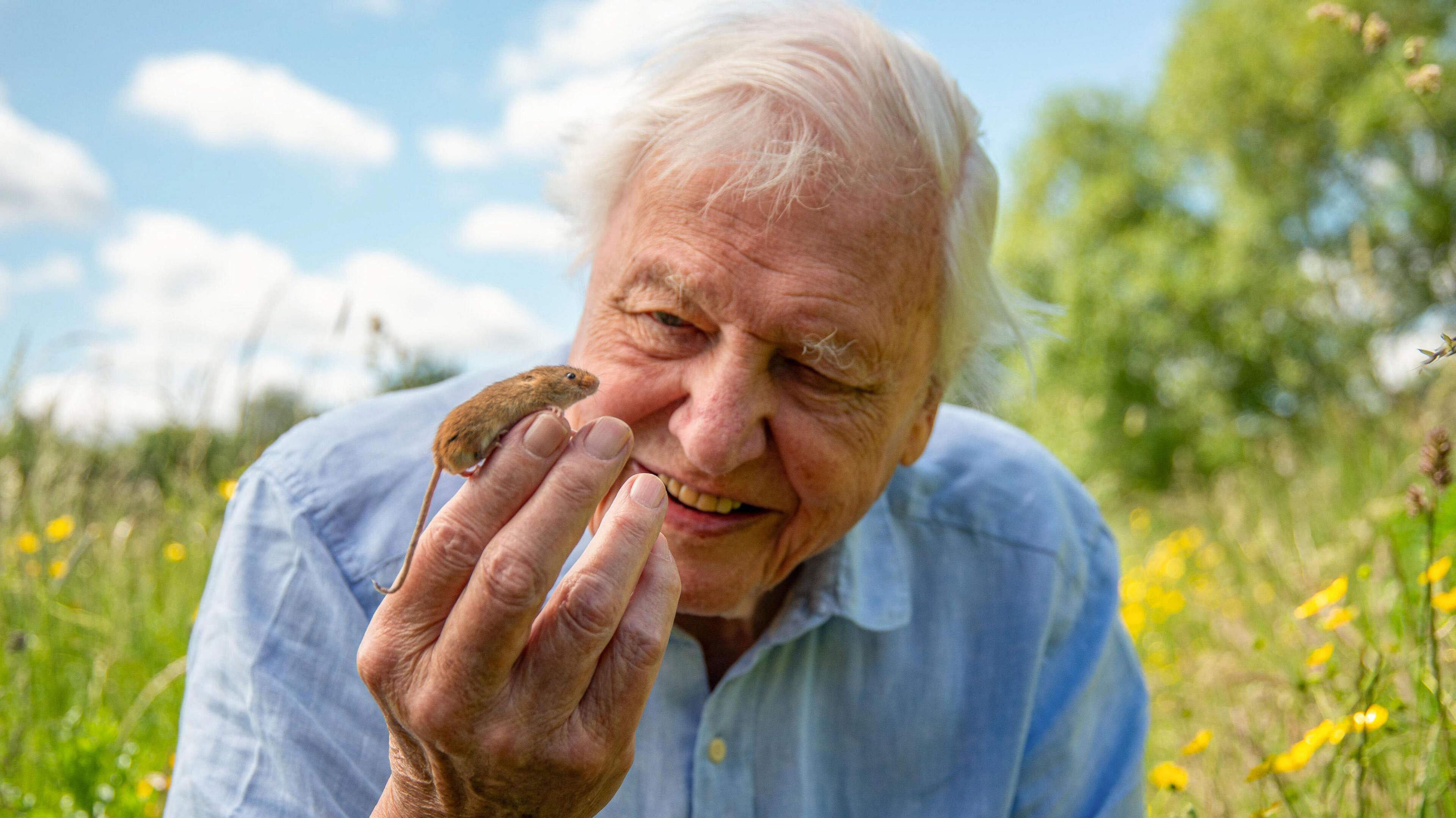 ’Indrukwekkende carrière natuurfilmmaker Sir David Attenborough’
