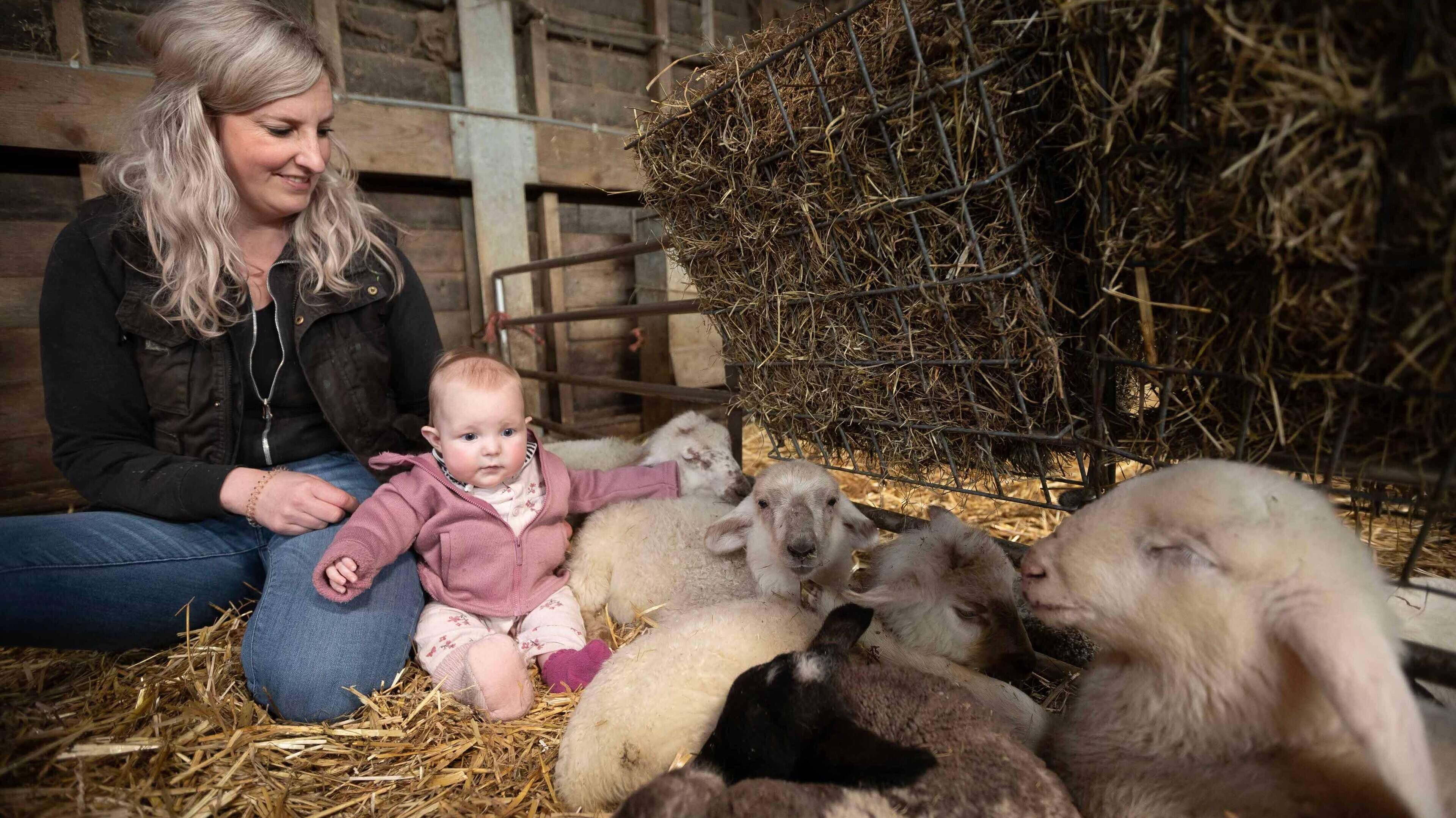 BZV-boerin Janine en dochtertje Lisa luiden lente in met lammetjes: ’Aan het mekkeren hoor ik feilloos of er iets mis is’