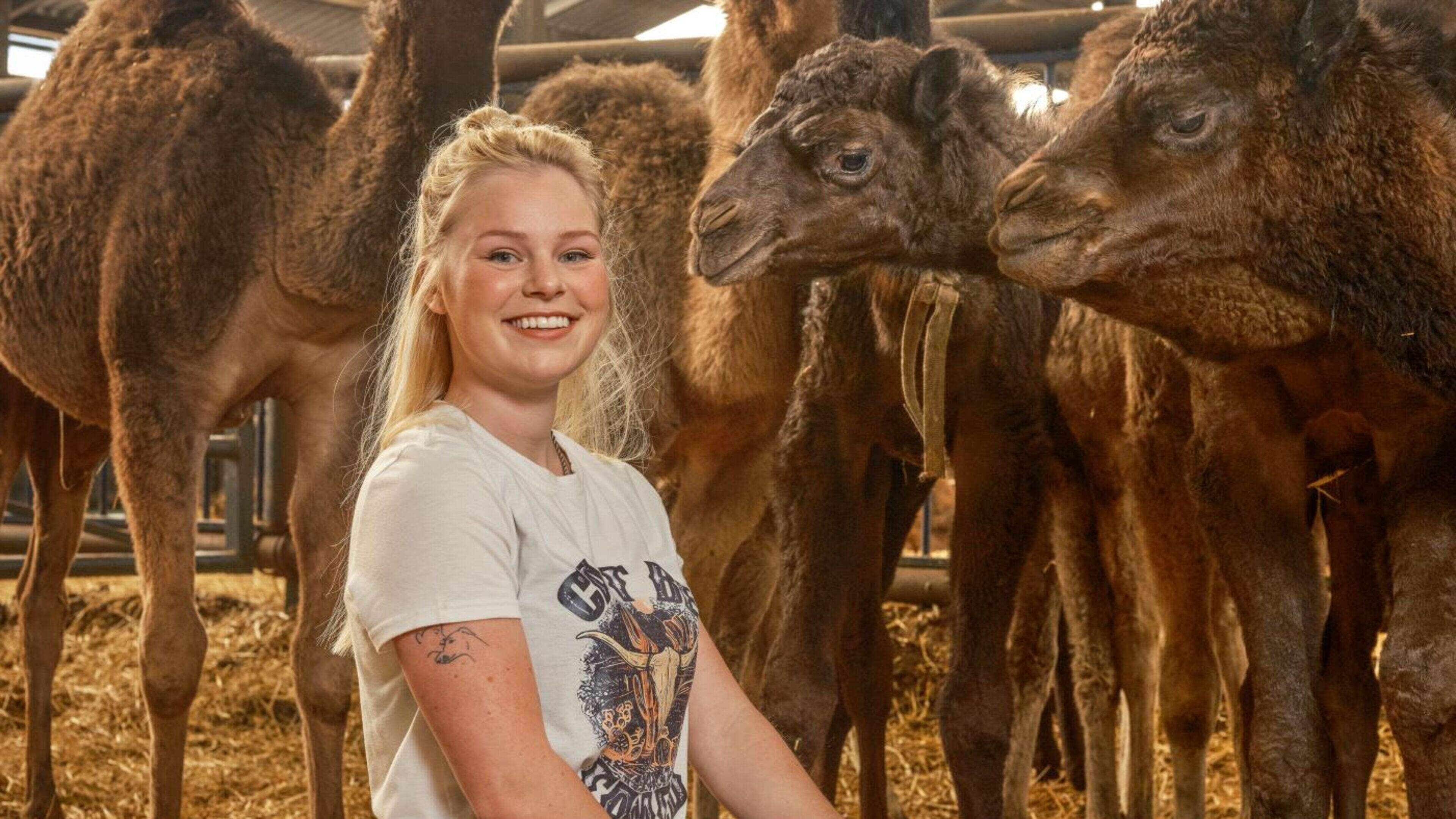 Sophie (23) is kamelenmelker: ’Toen hier een vacature vrijkwam heb ik direct gesolliciteerd’